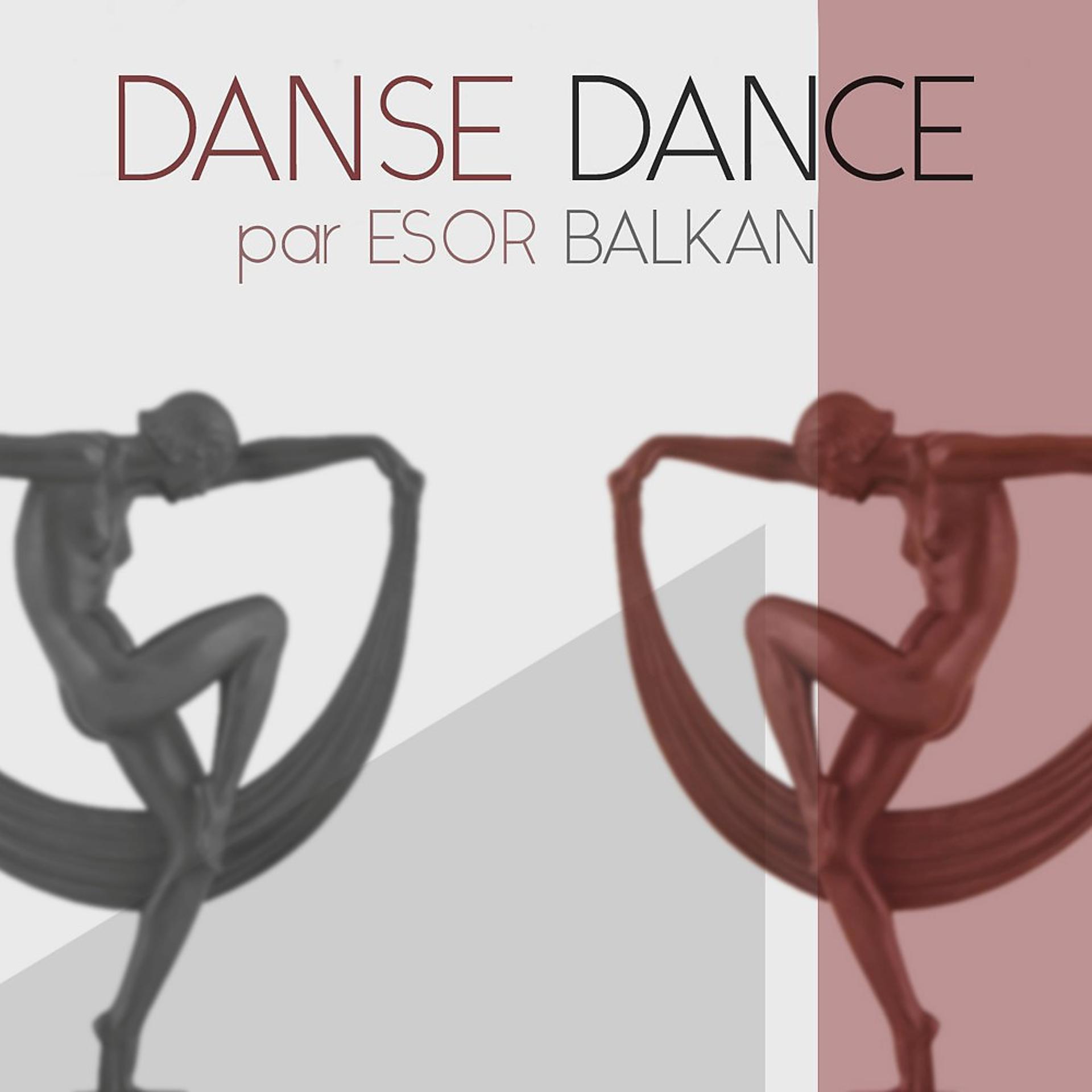 Постер альбома Danse Dance