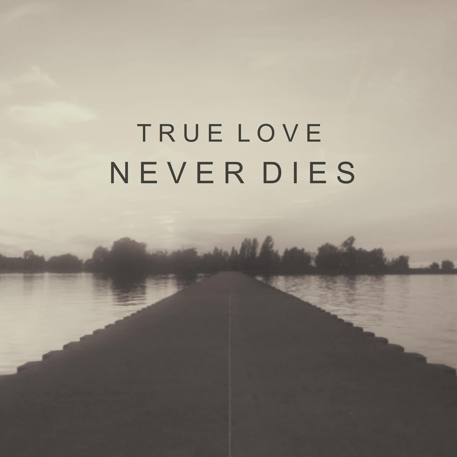 Постер альбома True Love Never Dies