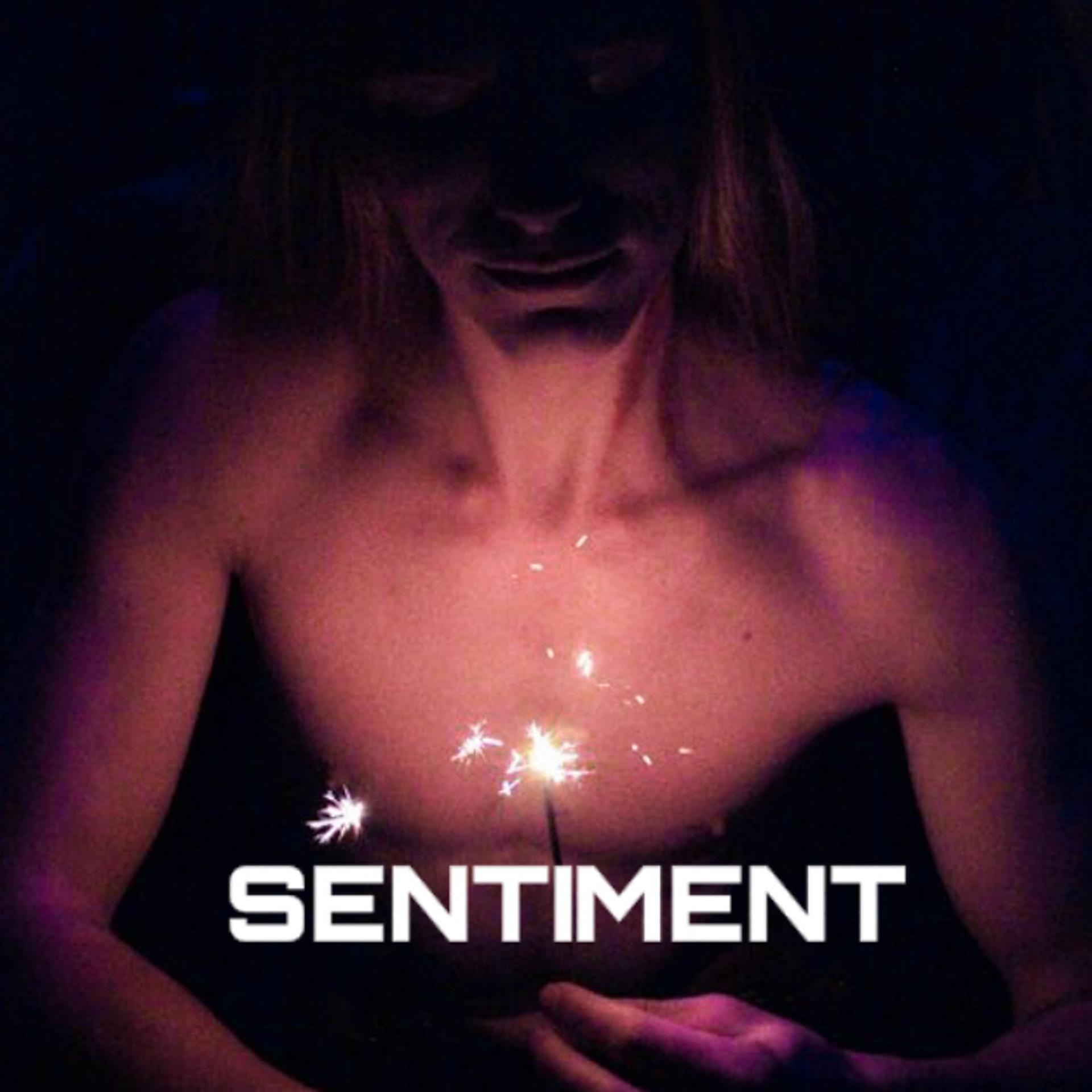 Постер альбома Sentiment (feat. Wise Guy)