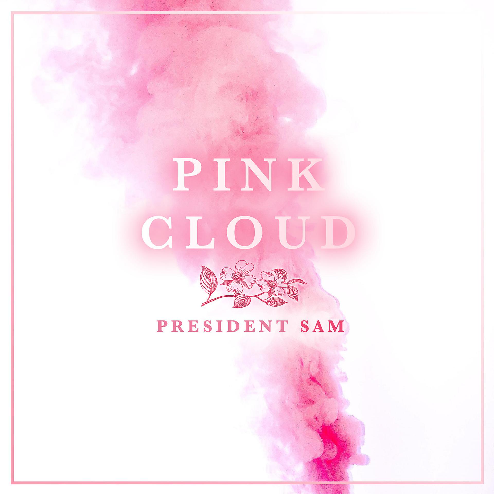 Постер альбома Pink Cloud