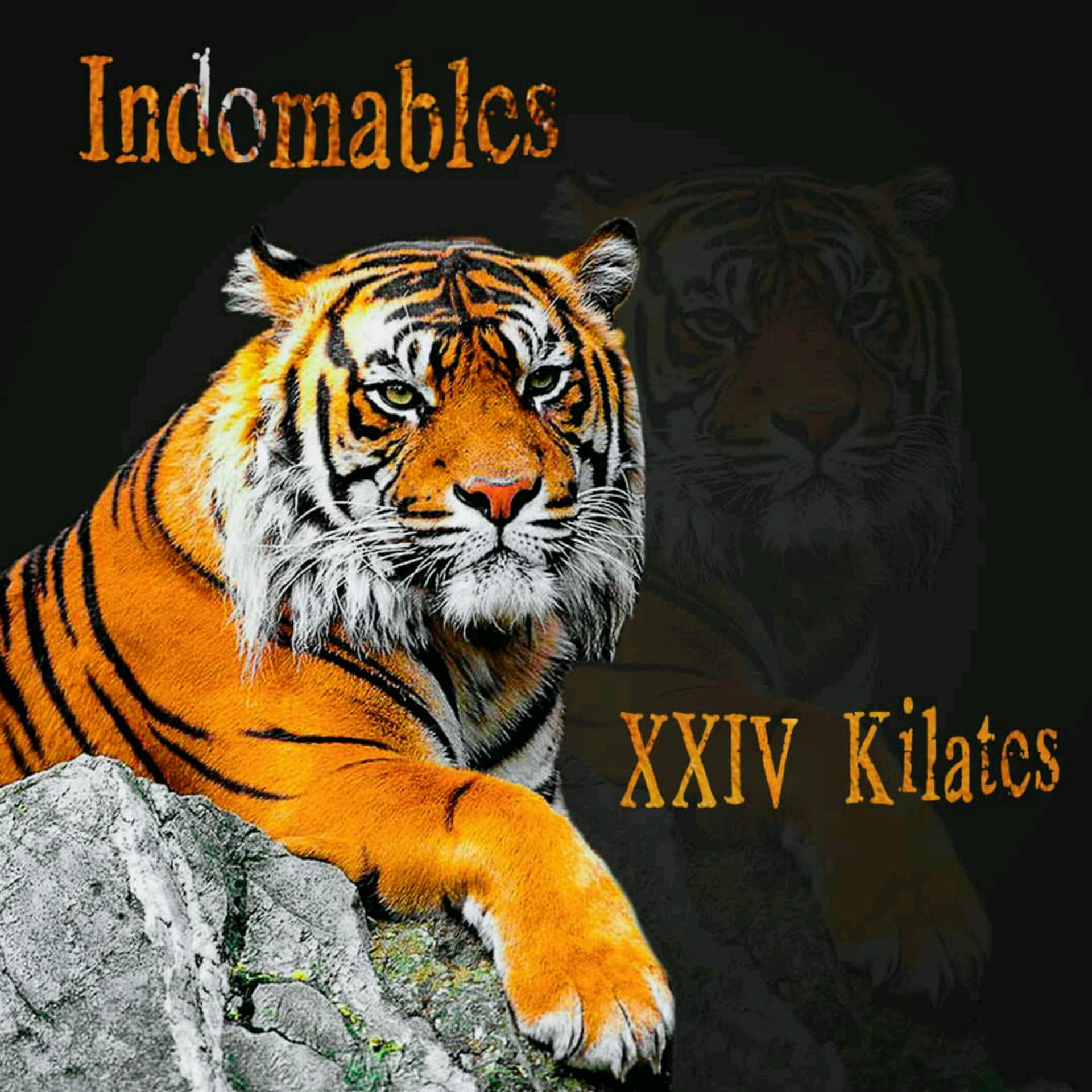 Постер альбома XXIV Kilates