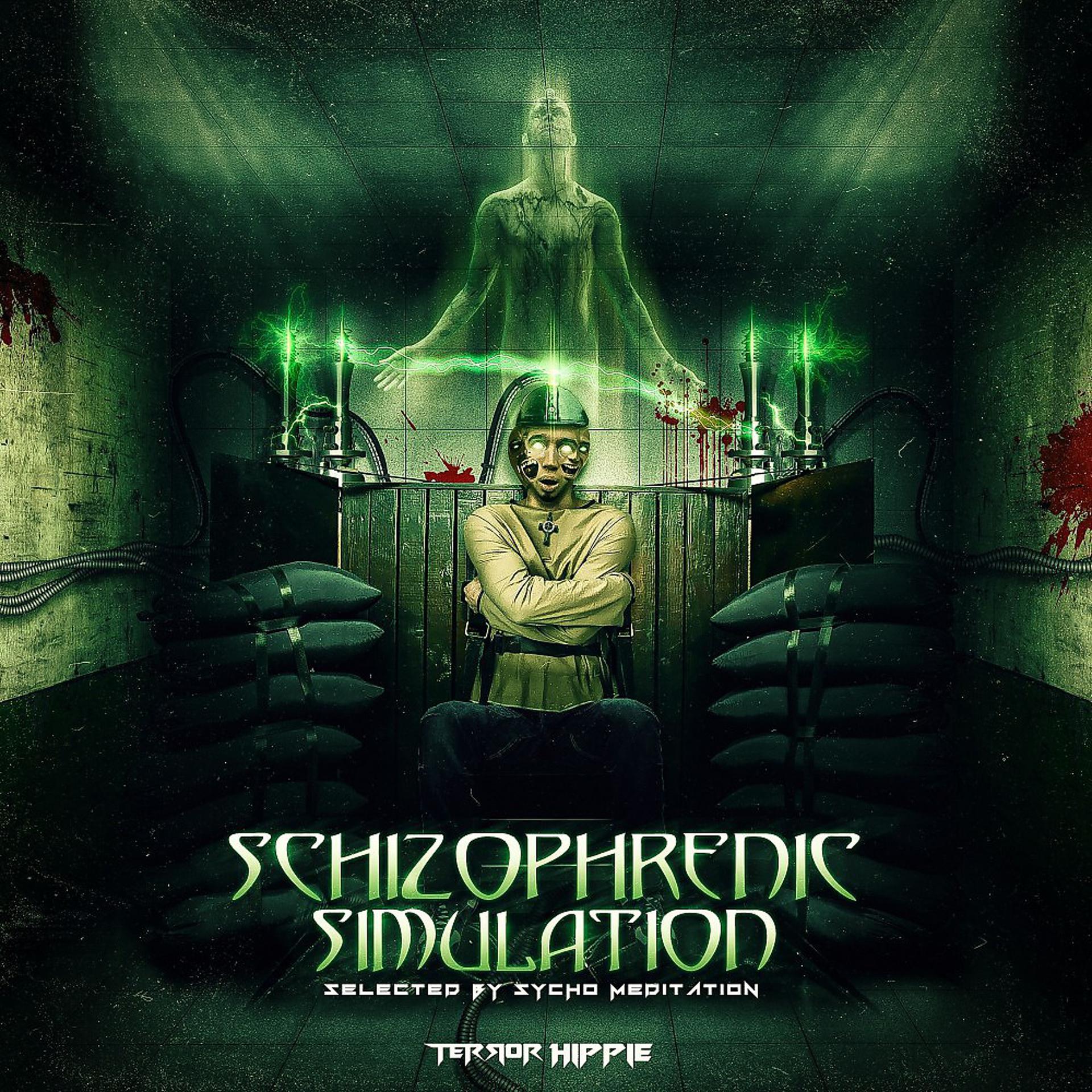 Постер альбома Schizophrenic Simulation