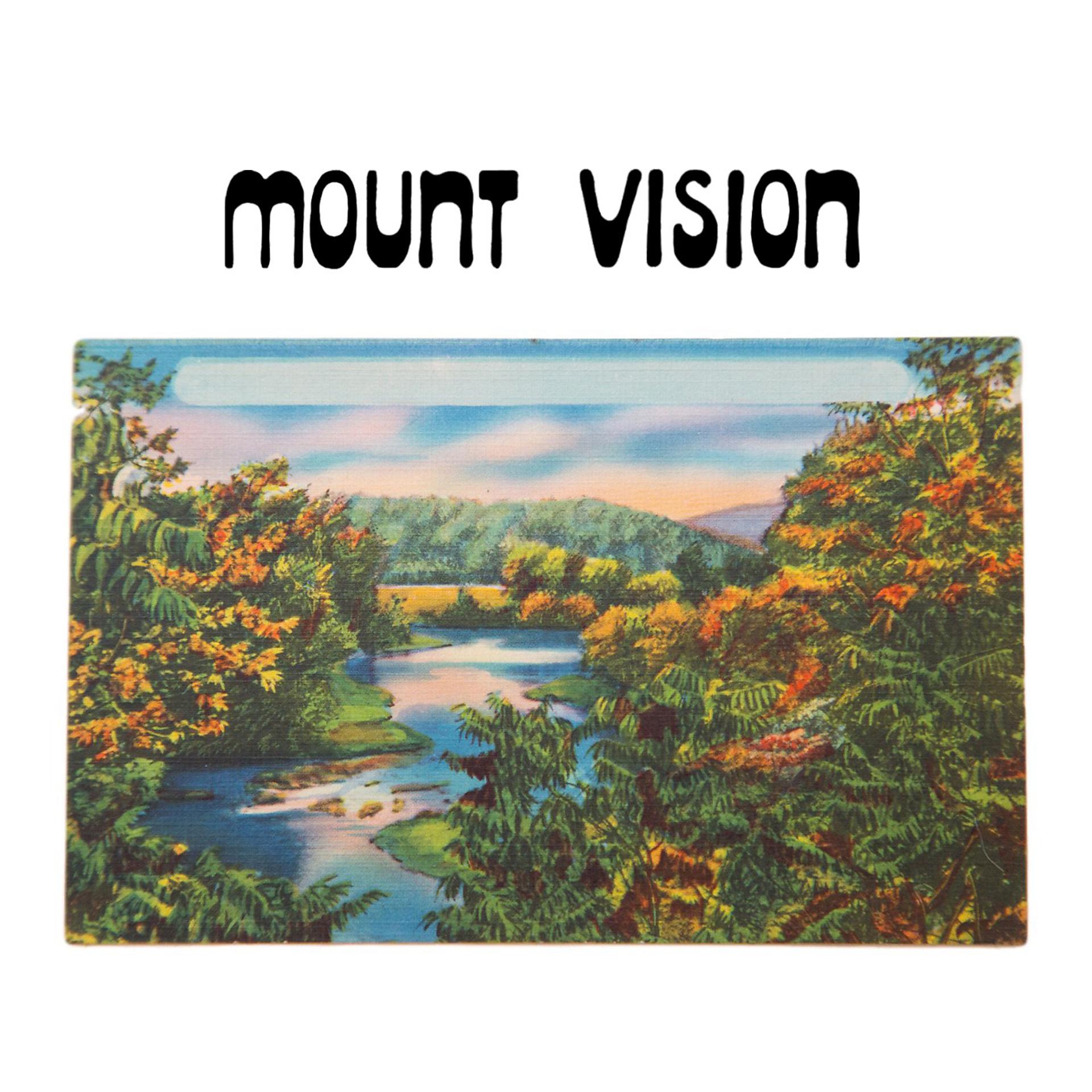 Постер альбома Mount Vision