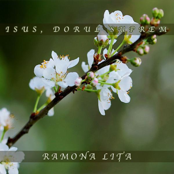 Альбом: Isus, dorul suprem