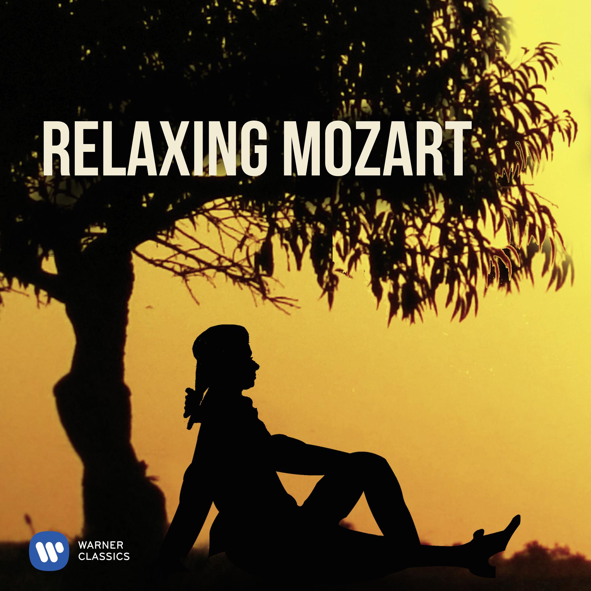 Постер альбома Relaxing Mozart