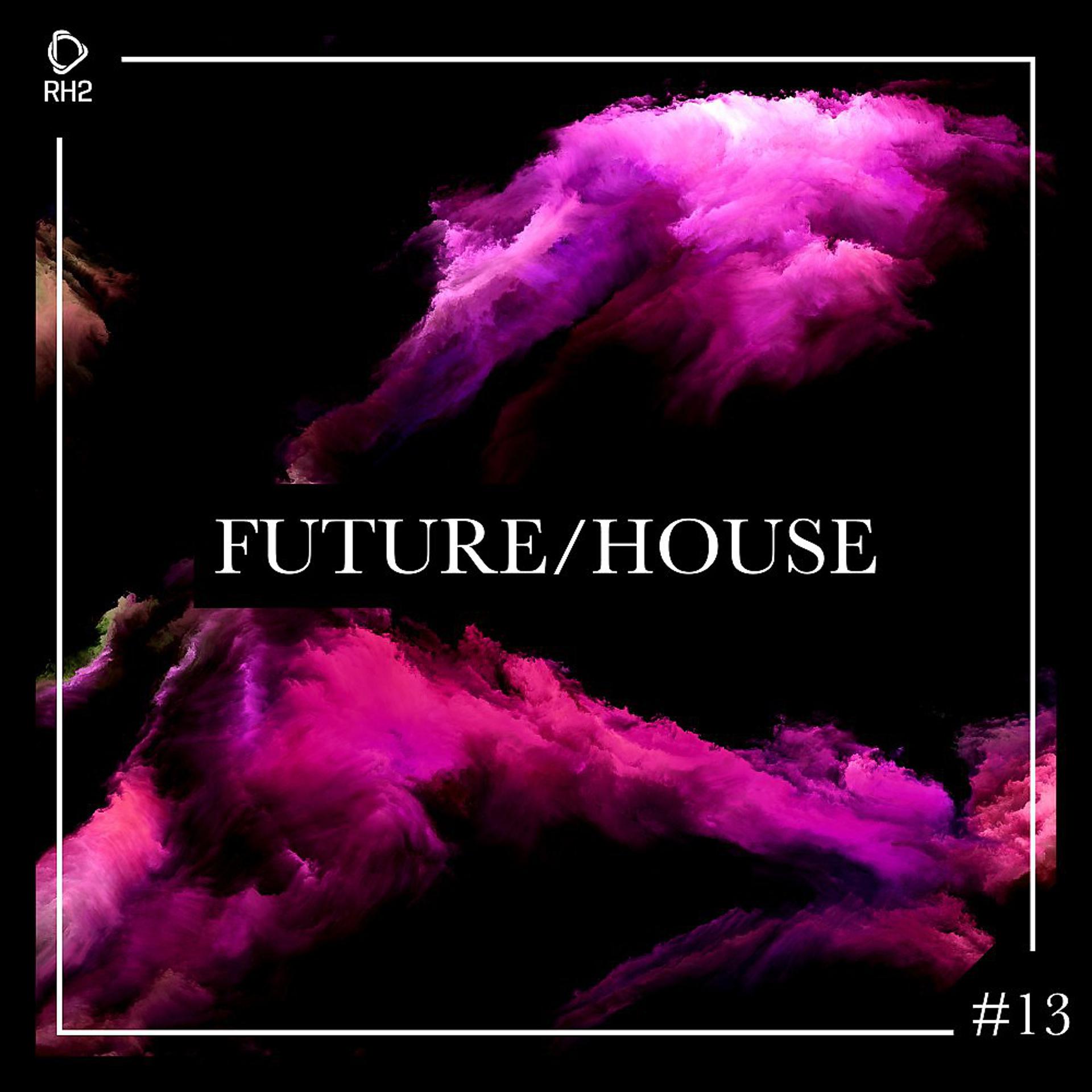 Постер альбома Future/House #13