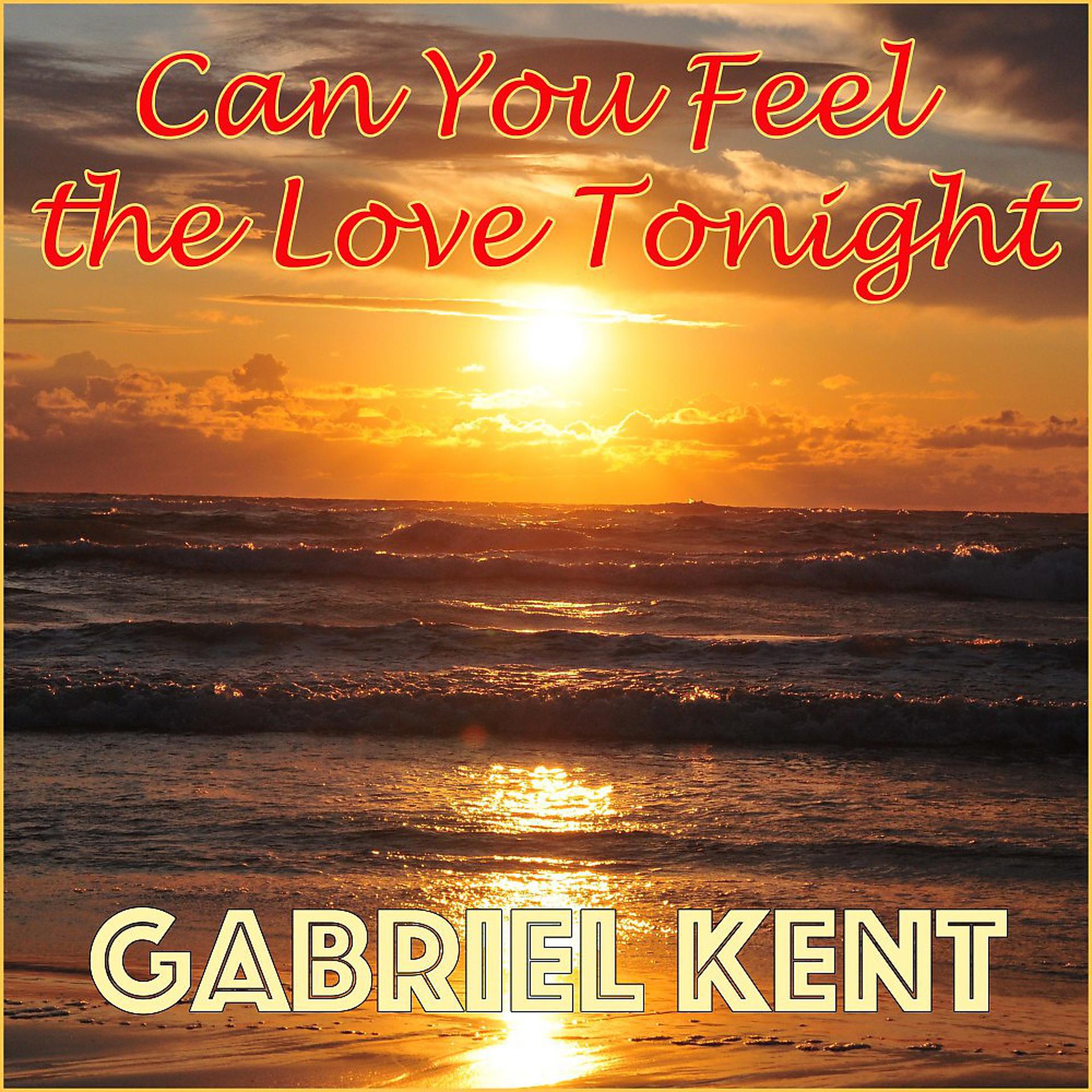 Постер альбома Can You Feel the Love Tonight
