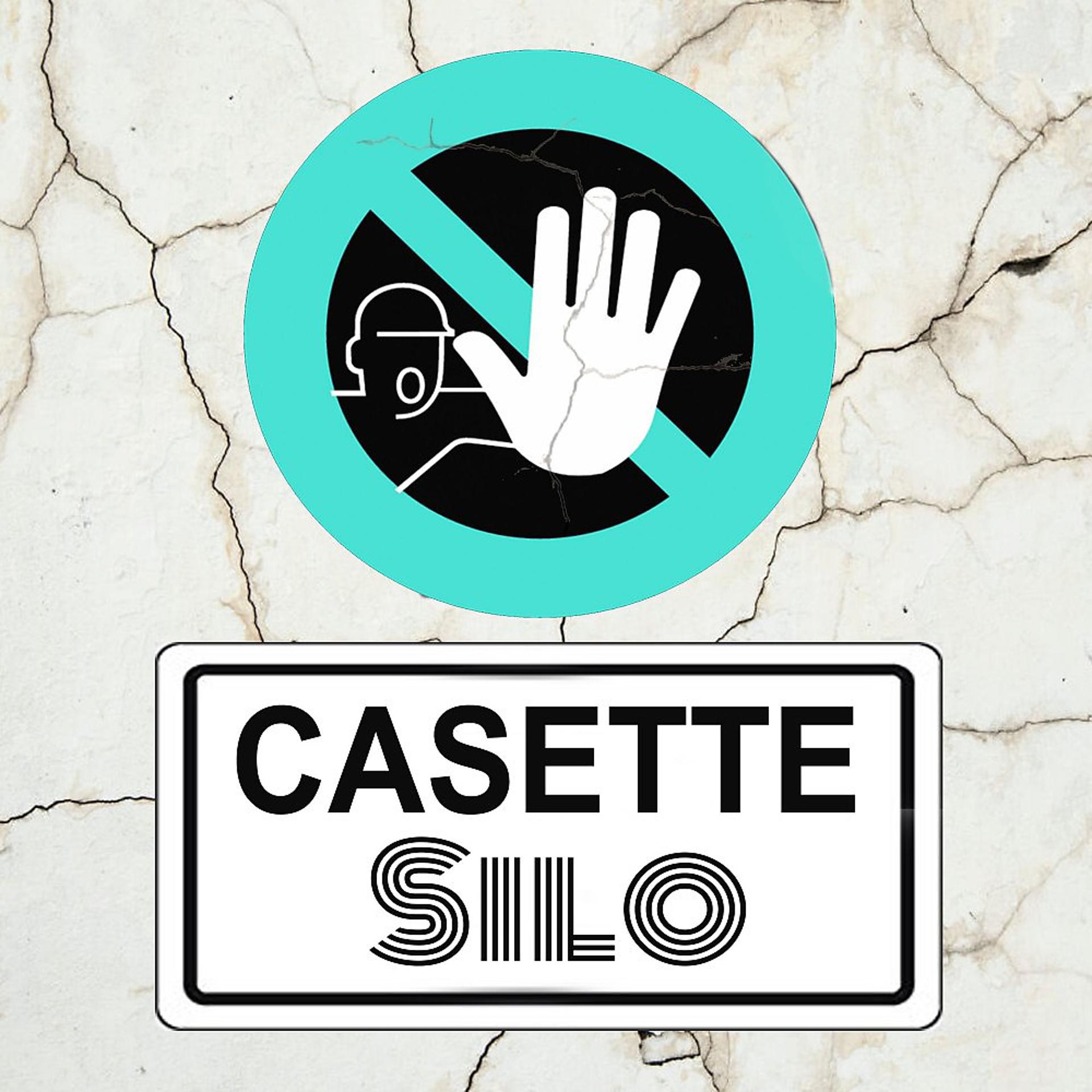 Постер альбома Casette