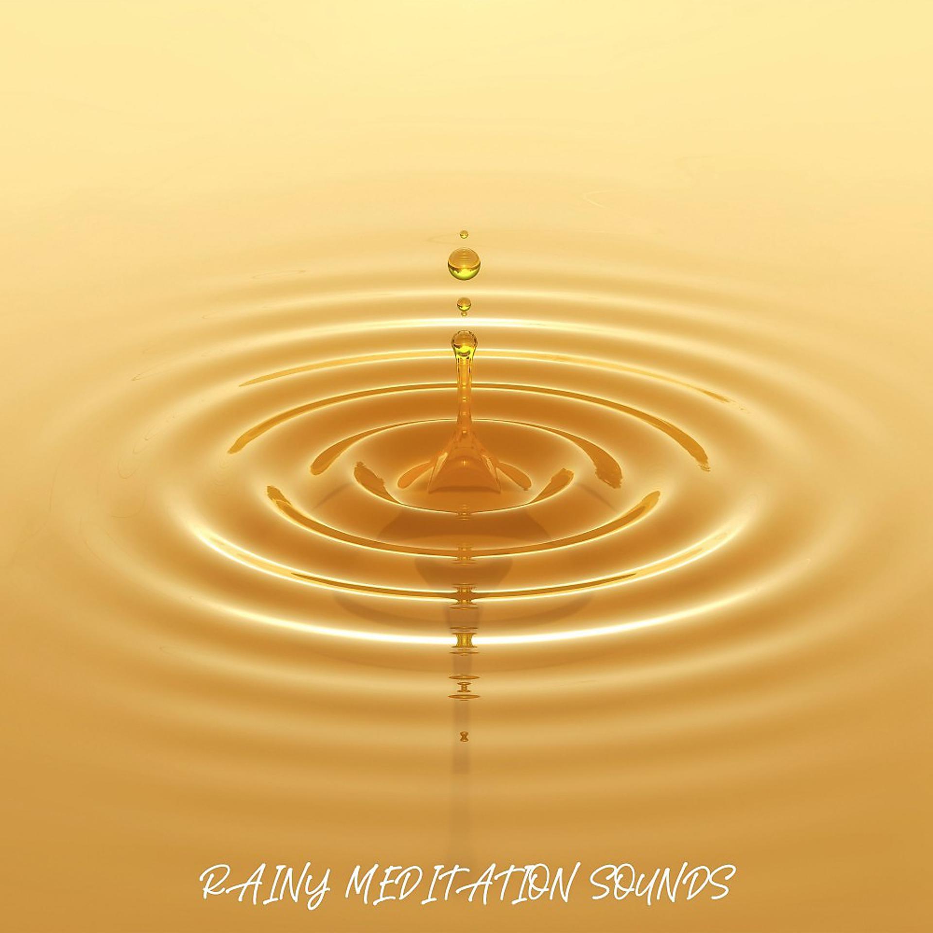 Постер альбома Rainy Meditation Sounds