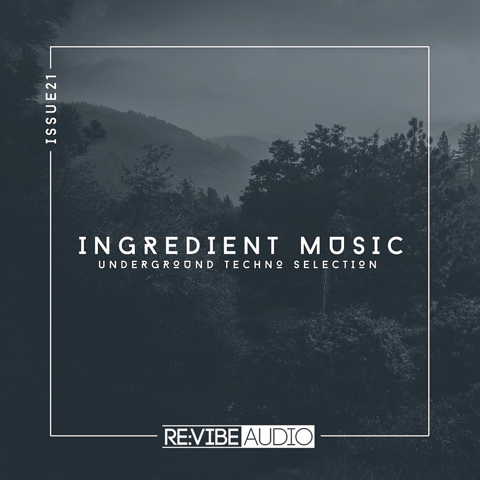 Постер альбома Ingredient Music, Vol. 21