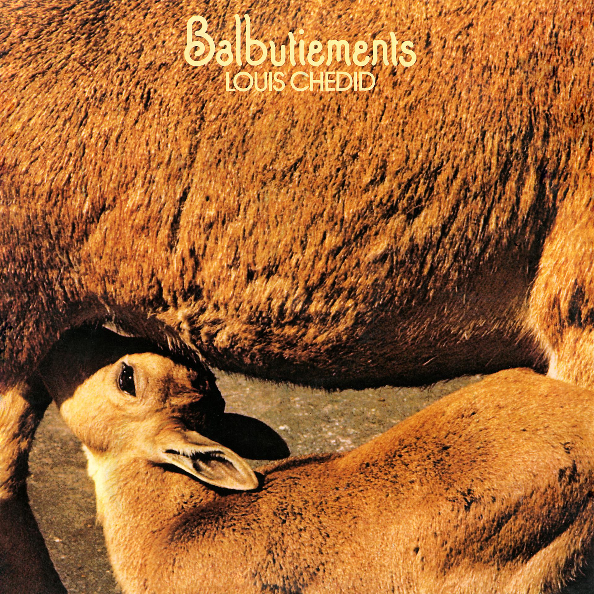 Постер альбома Balbutiements