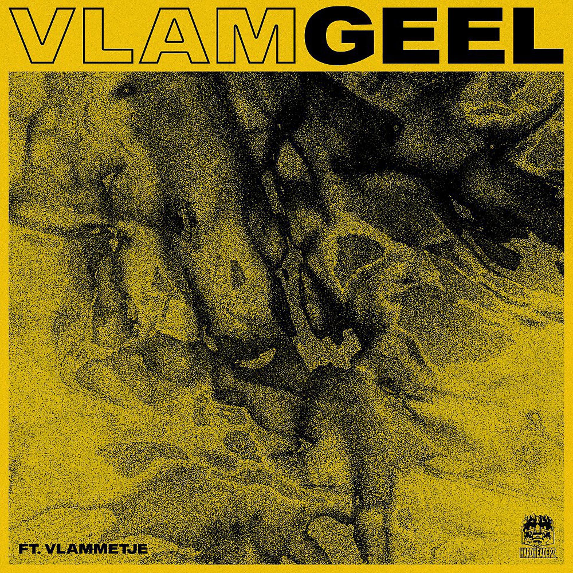 Постер альбома Vlamgeel