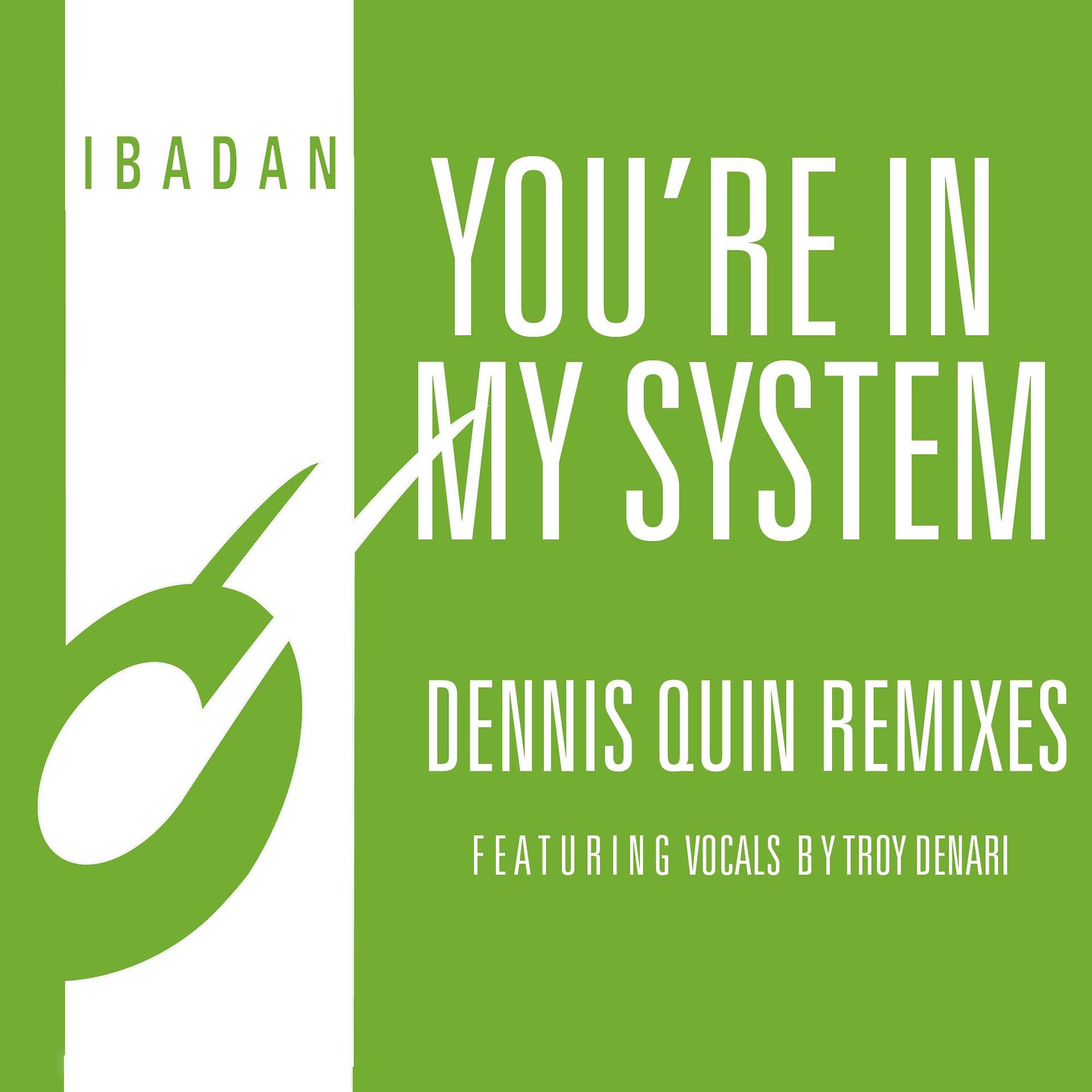 Постер альбома You're in My System (Dennis Quin Remixes)