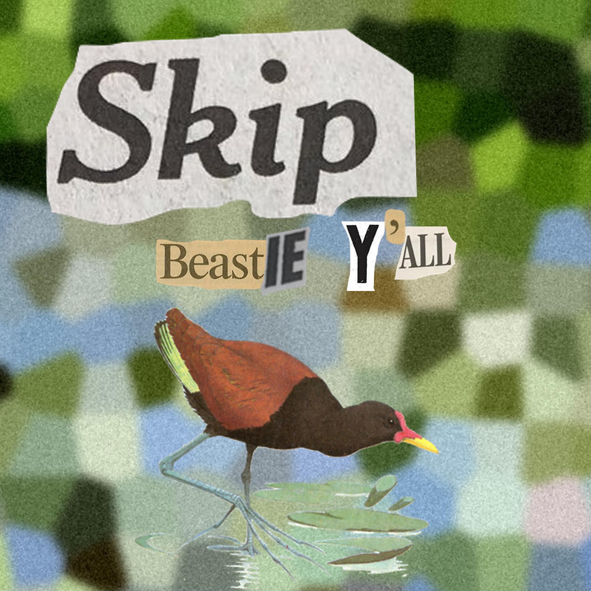 Постер альбома Skip