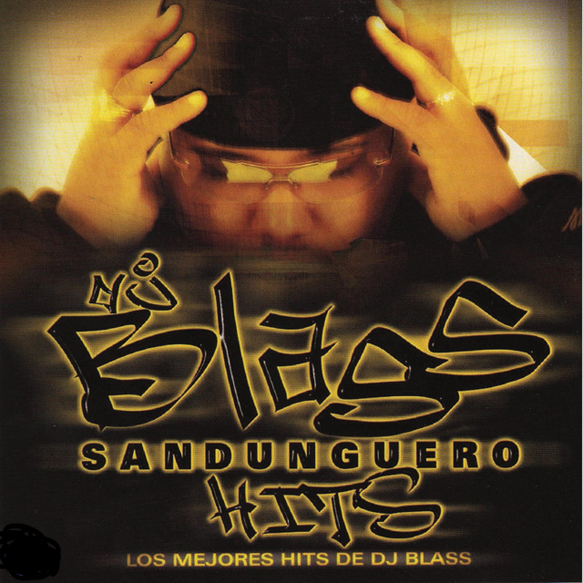 Постер альбома Sandunguero Hits