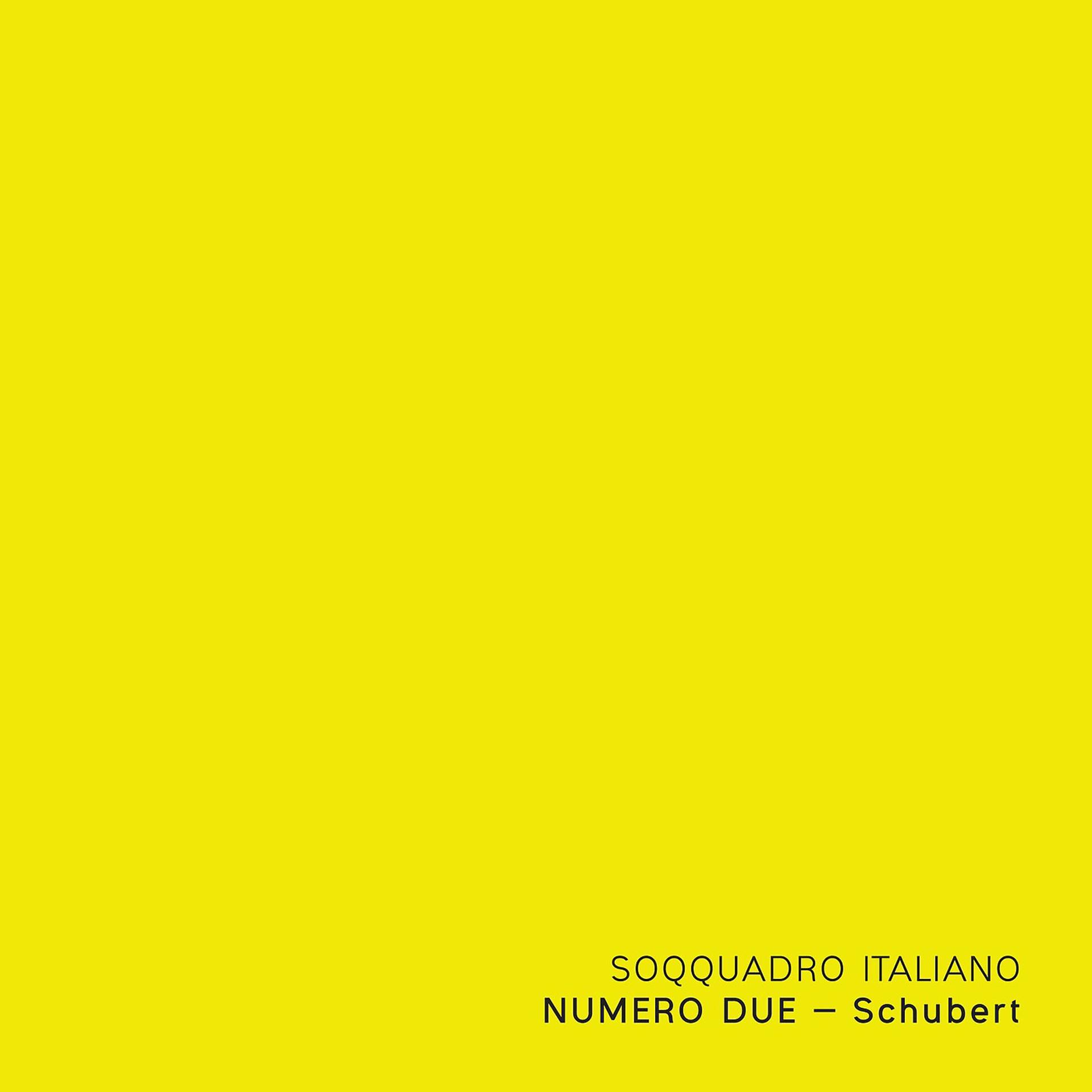 Постер альбома Numero Due - Schubert