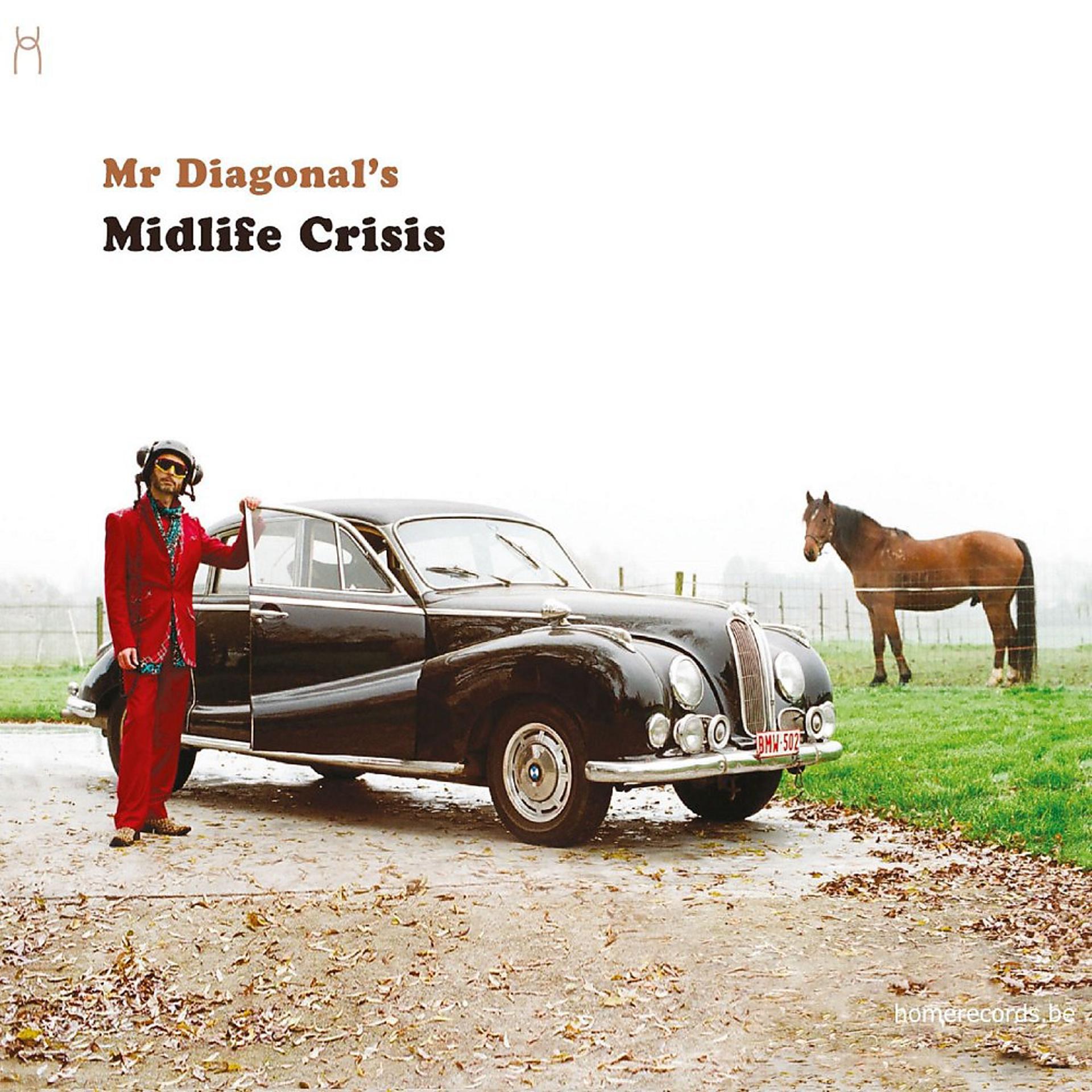 Постер альбома Mr Diagonal's Midlife Crisis