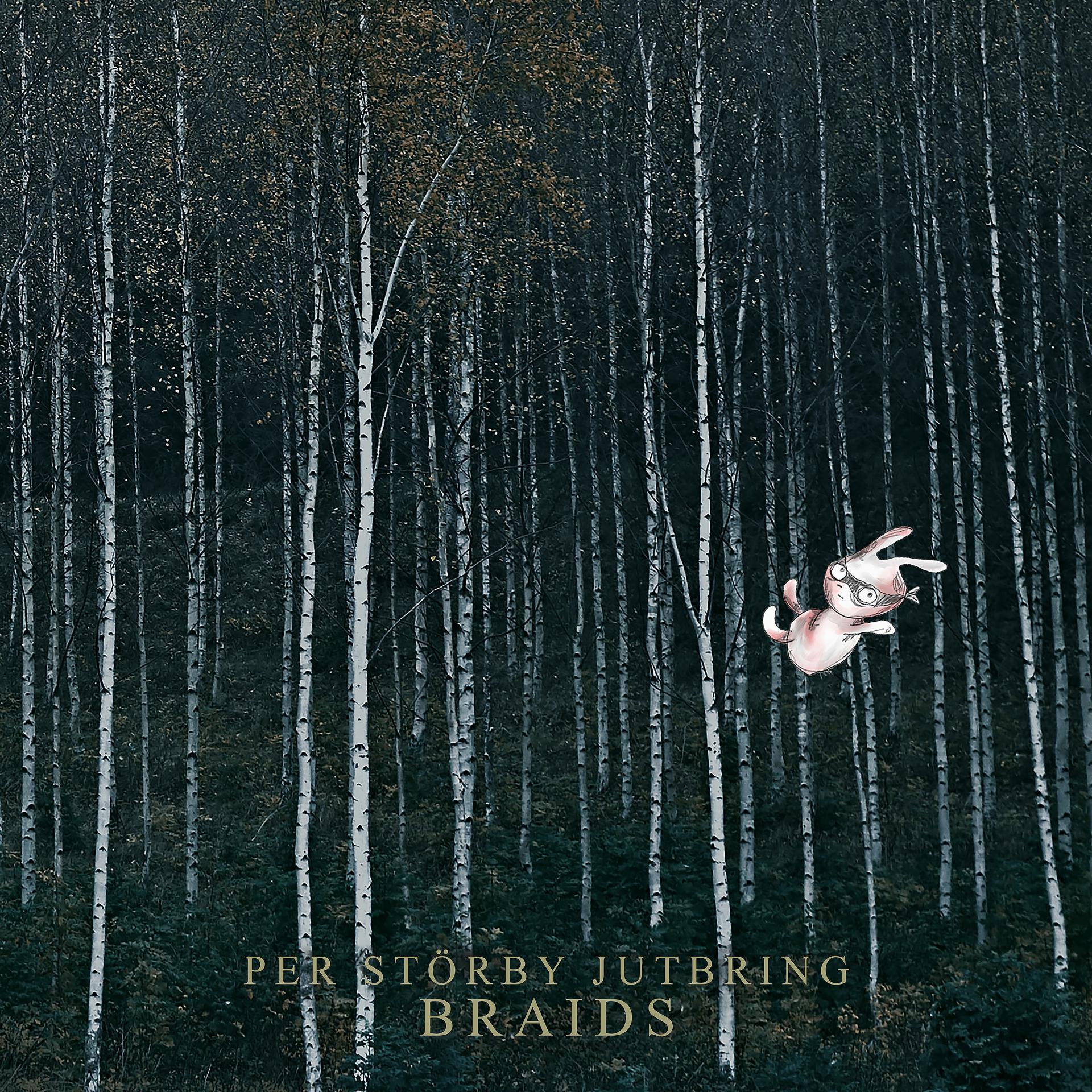 Постер альбома Braids