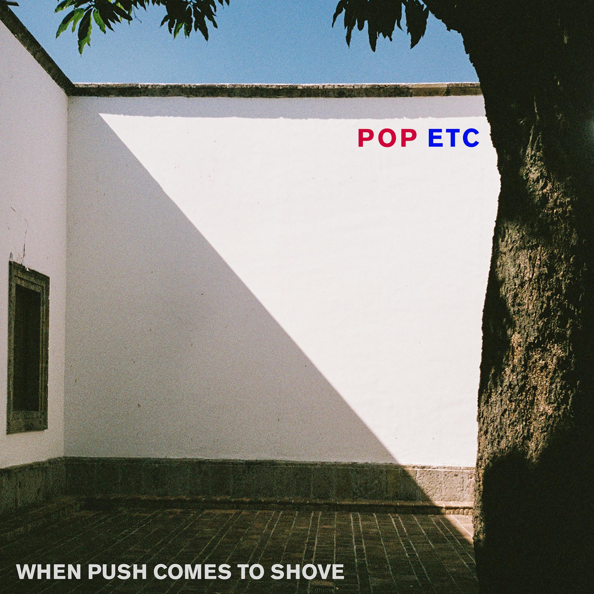 Постер альбома When Push Comes to Shove