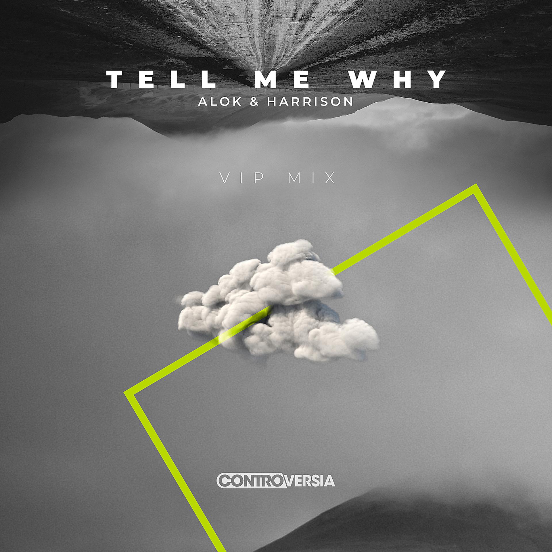 Постер альбома Tell Me Why (VIP Mix)