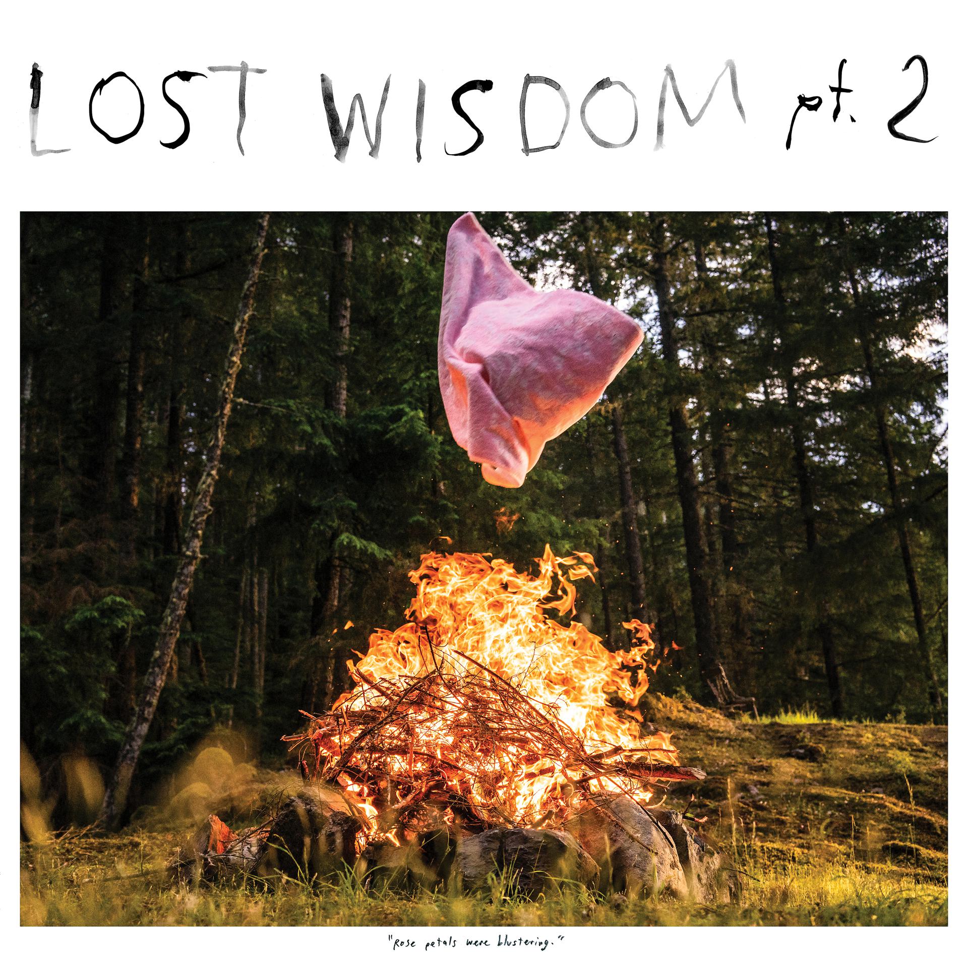 Постер альбома Lost Wisdom, Pt. 2