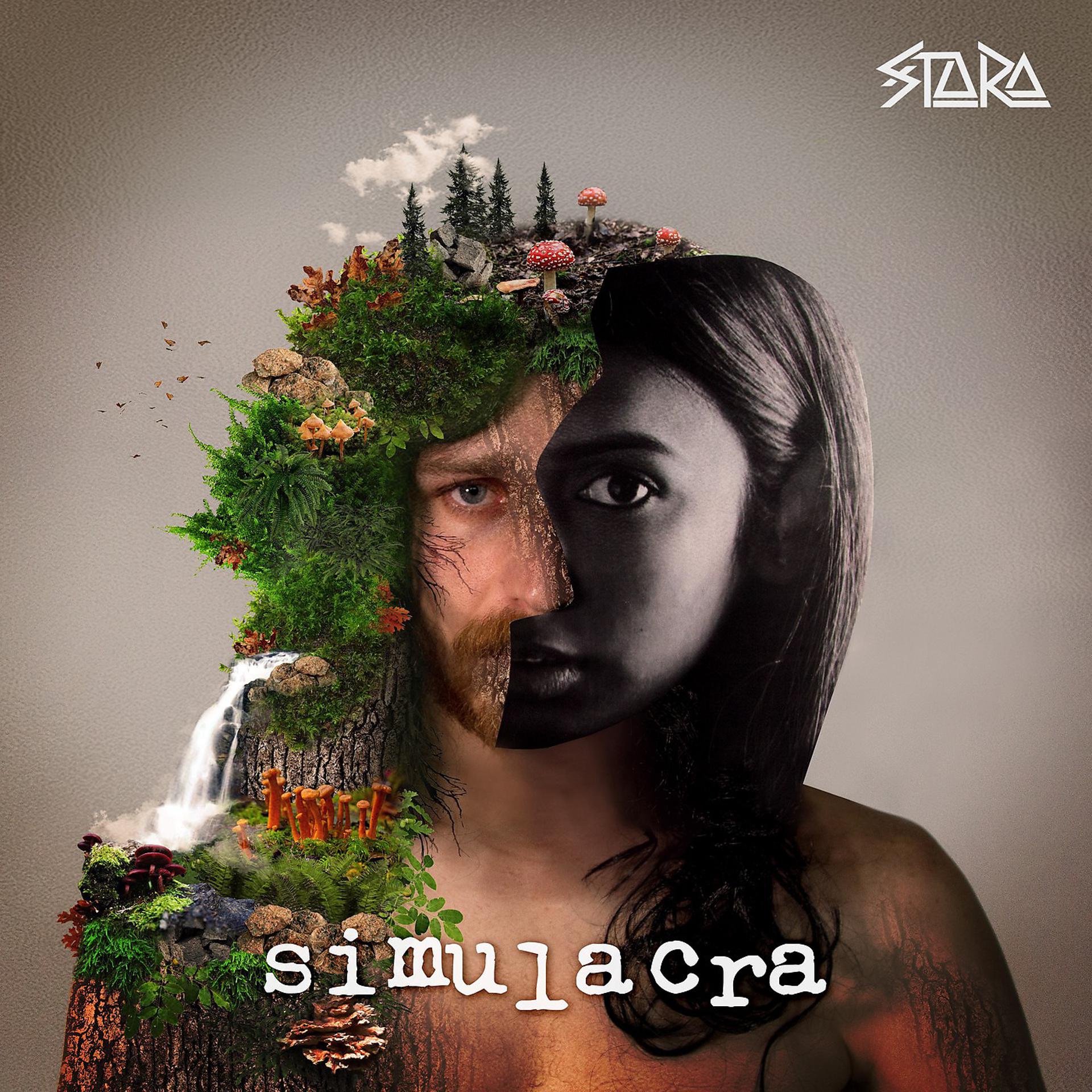 Постер альбома Simulacra