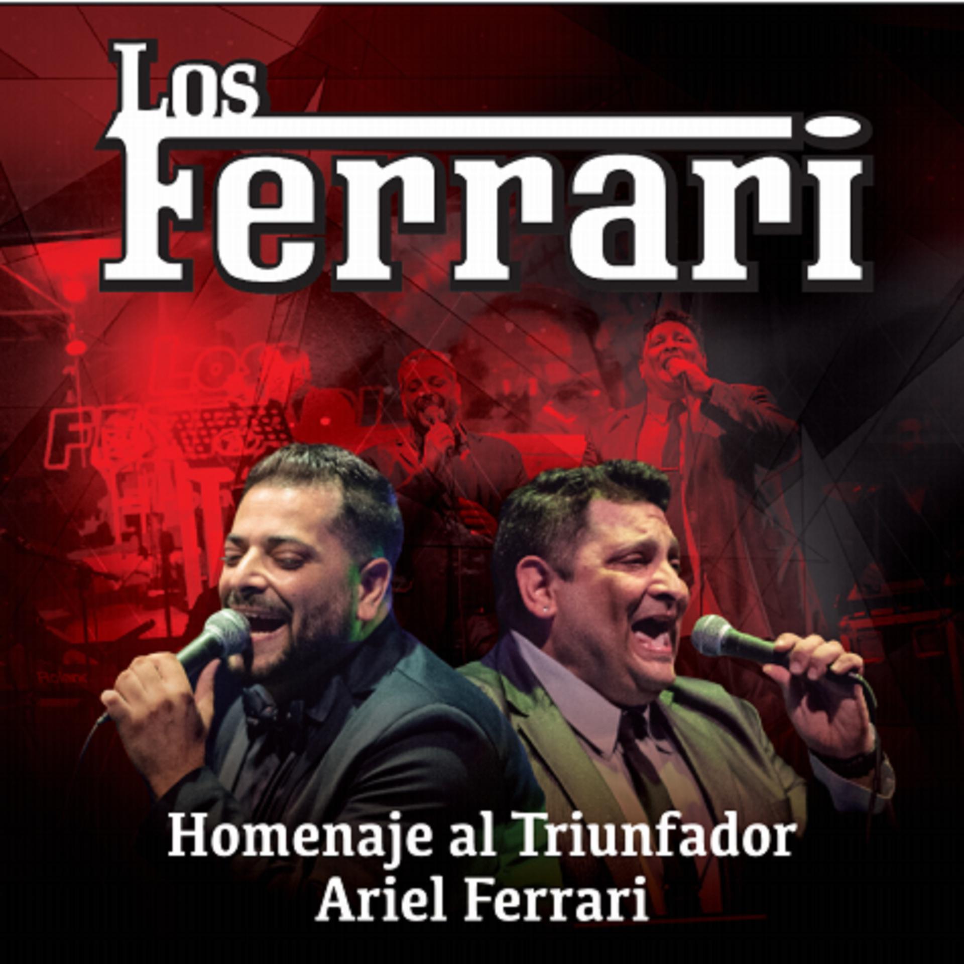 Постер альбома Homenaje al Triunfador Ariel Ferrari