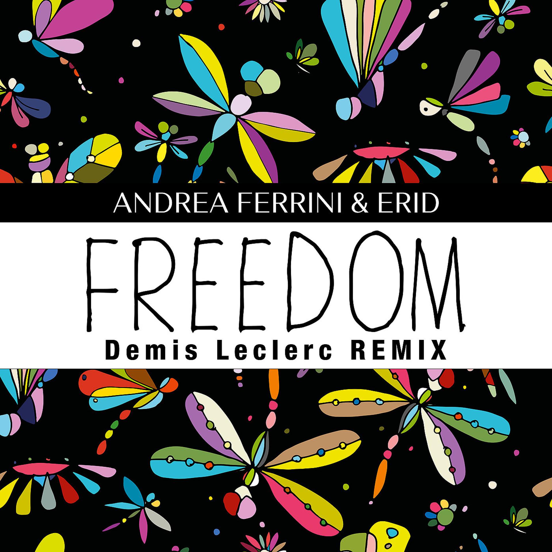 Постер альбома Freedom (Demis Leclerc Remix)