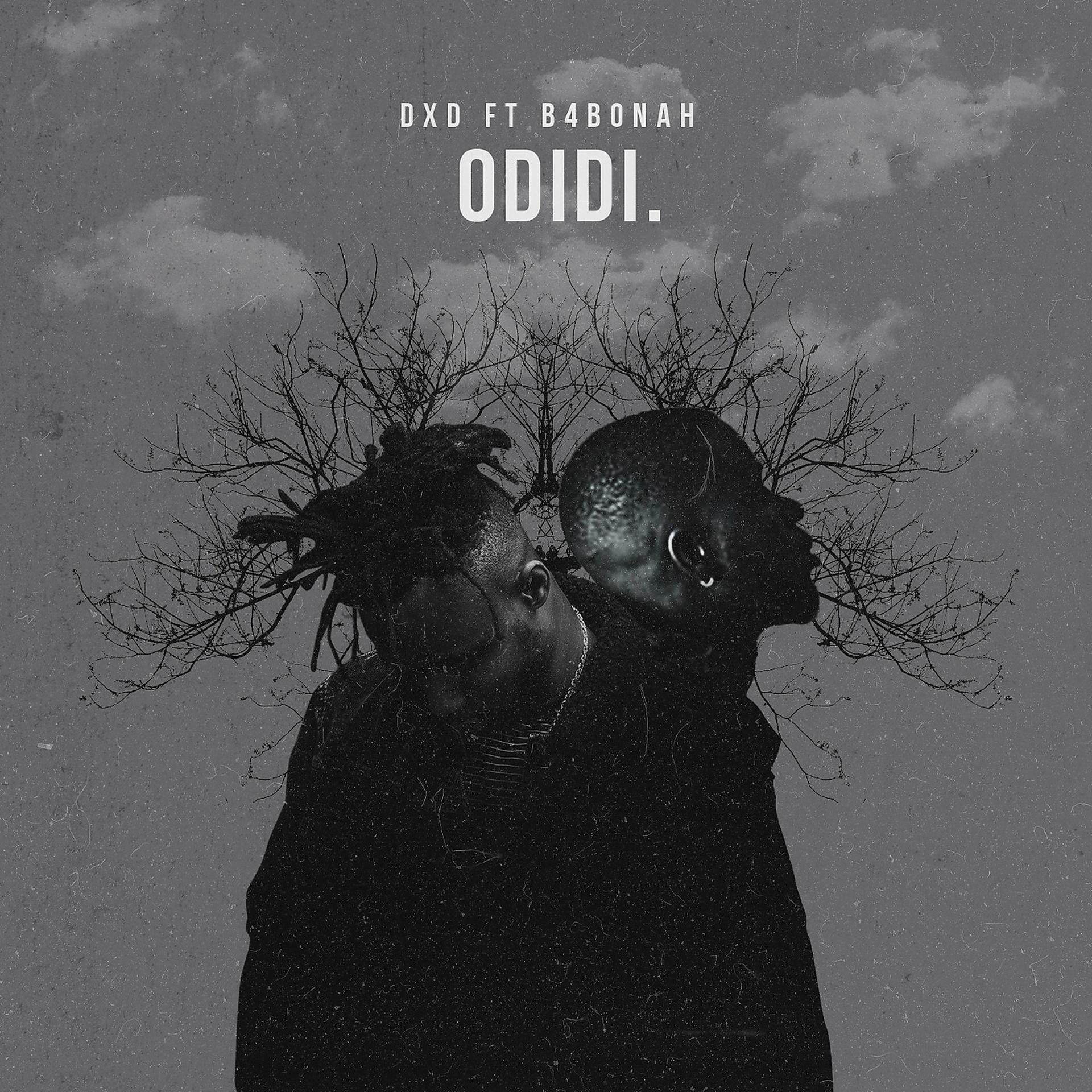 Постер альбома Odidi