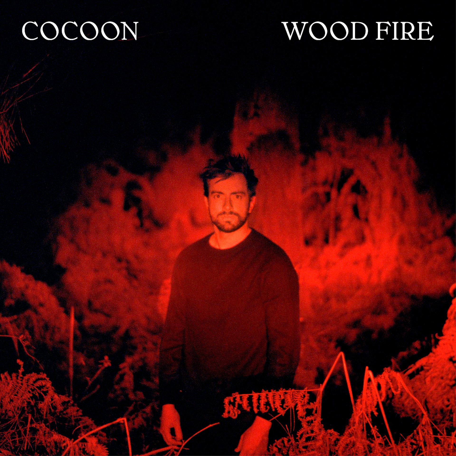 Постер альбома Wood Fire