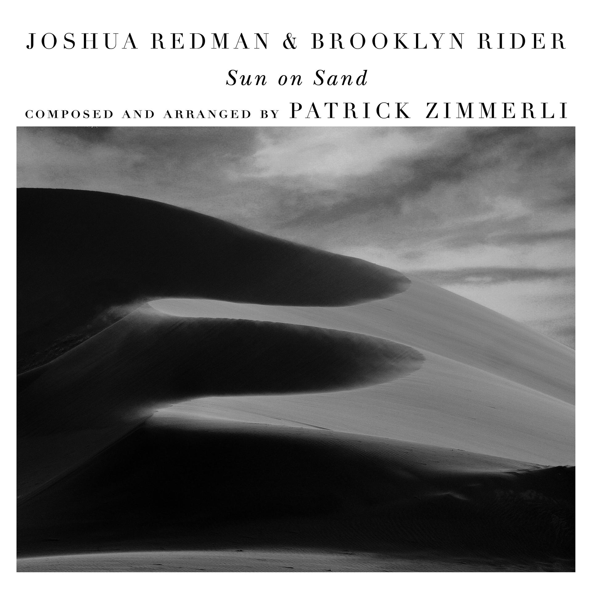 Постер к треку Joshua Redman, Brooklyn Rider, Satoshi Takeishi, Scott Colley - Dark White (with Scott Colley & Satoshi Takeishi)