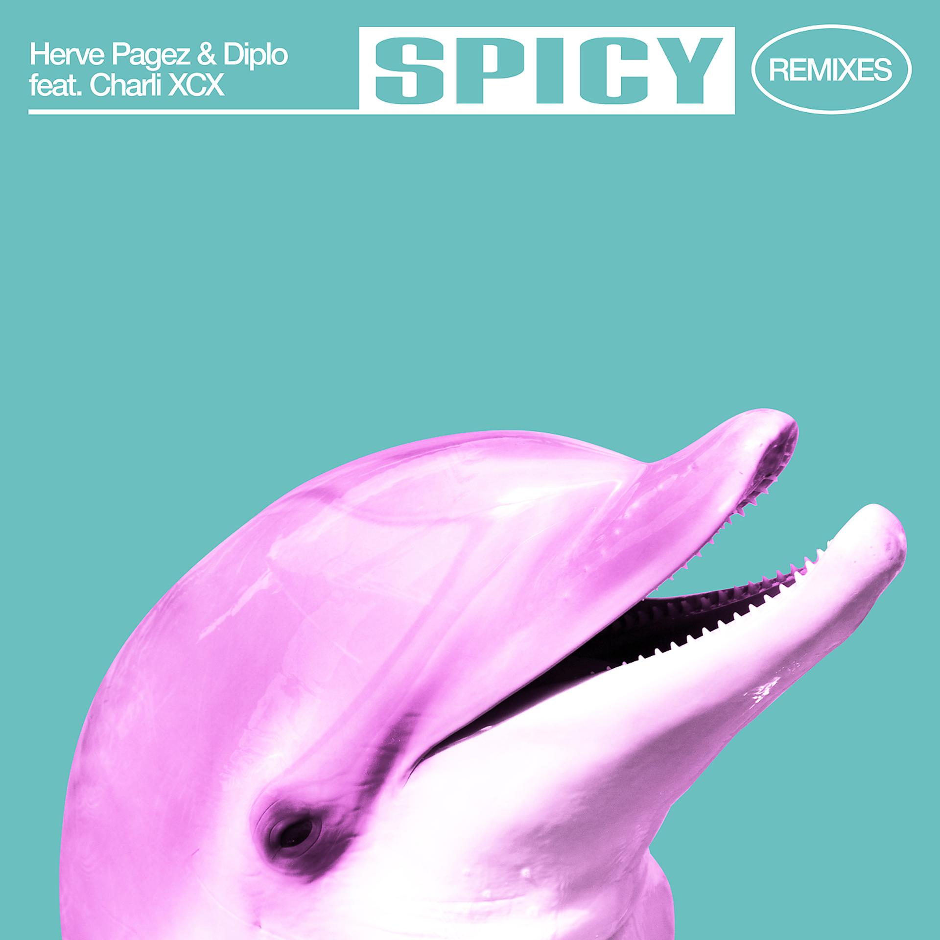 Постер альбома Spicy (Remixes)