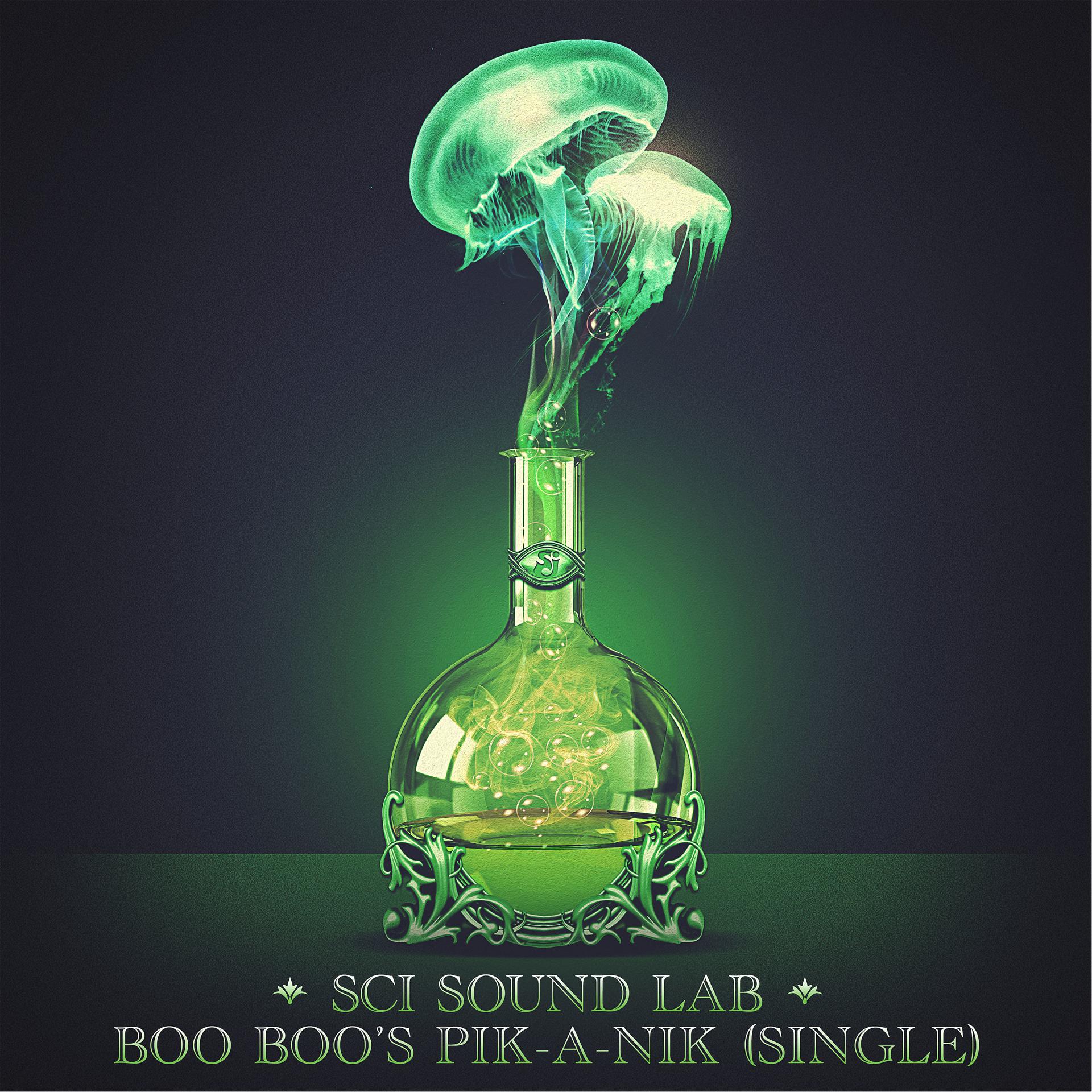 Постер альбома SCI Sound Lab: Boo Boo's Pik-a-Nik - Single