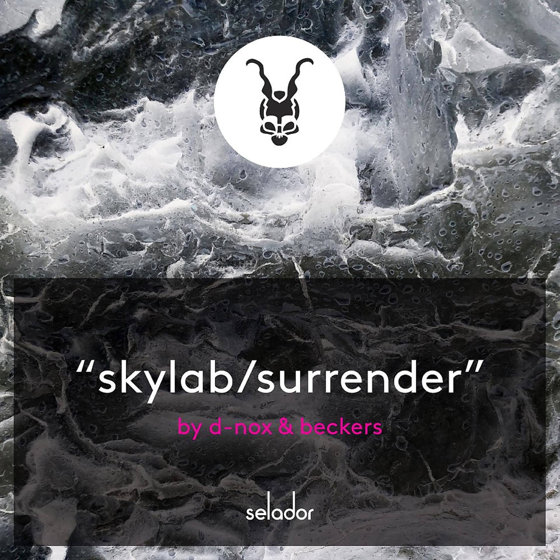 Постер альбома Skylab / Surrender