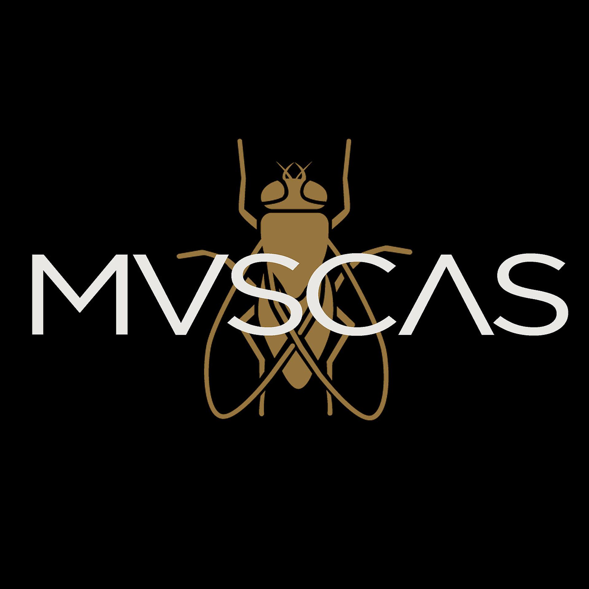Постер альбома Mvscas