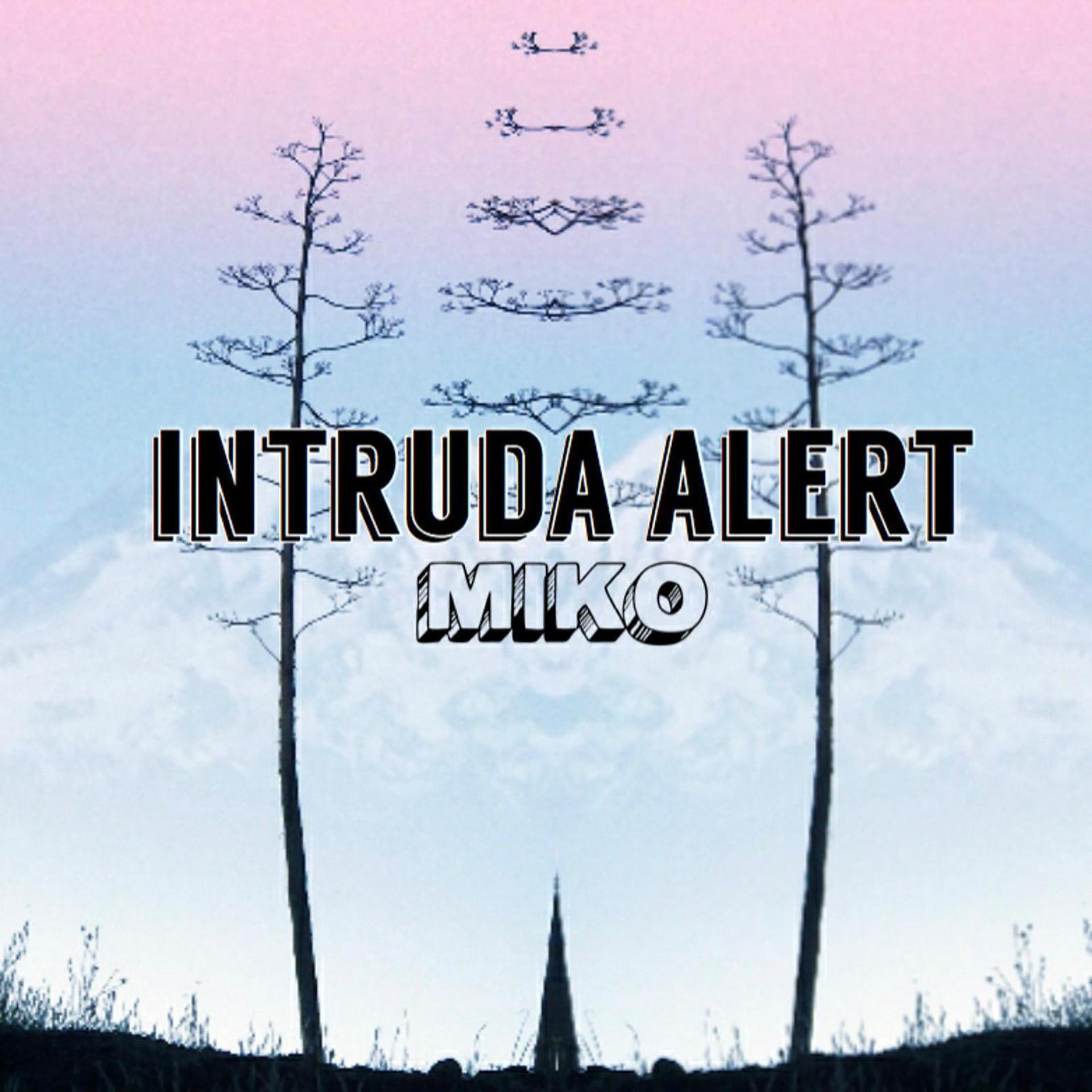 Постер альбома Intruda Alert