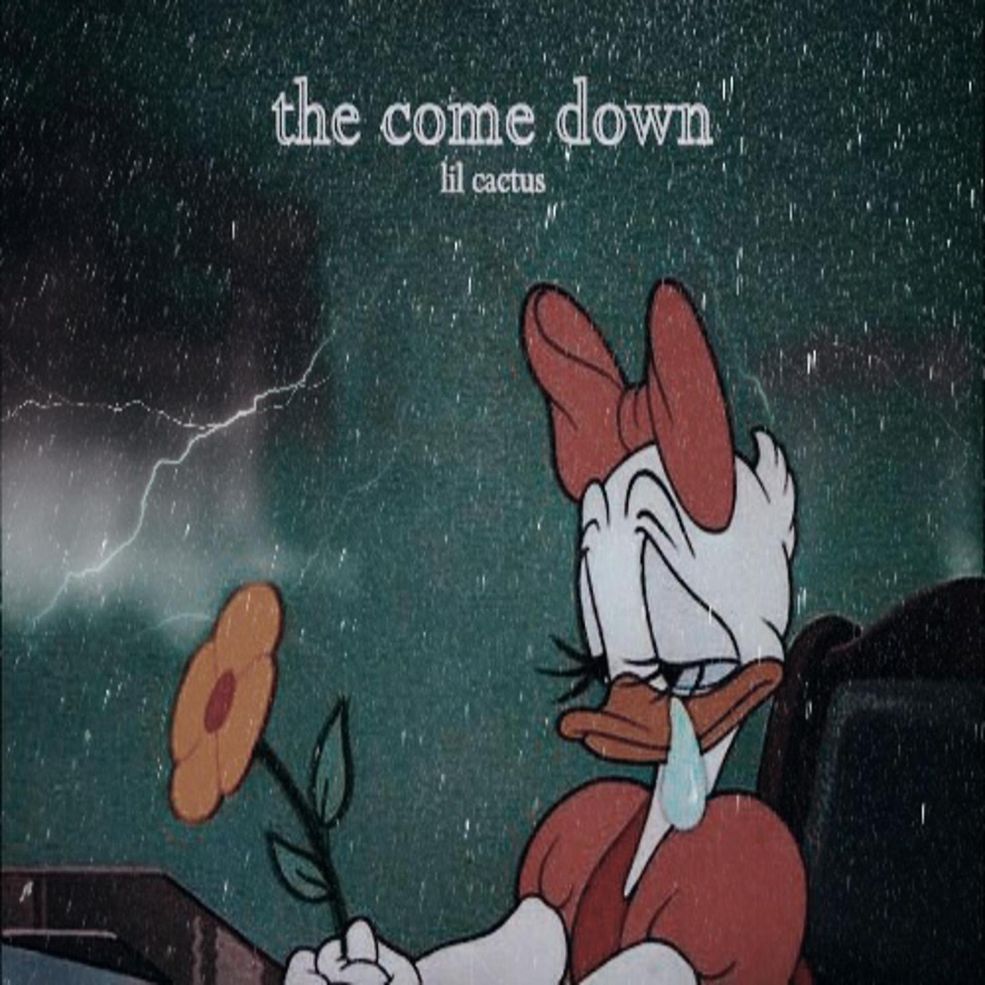 Постер альбома The Come Down