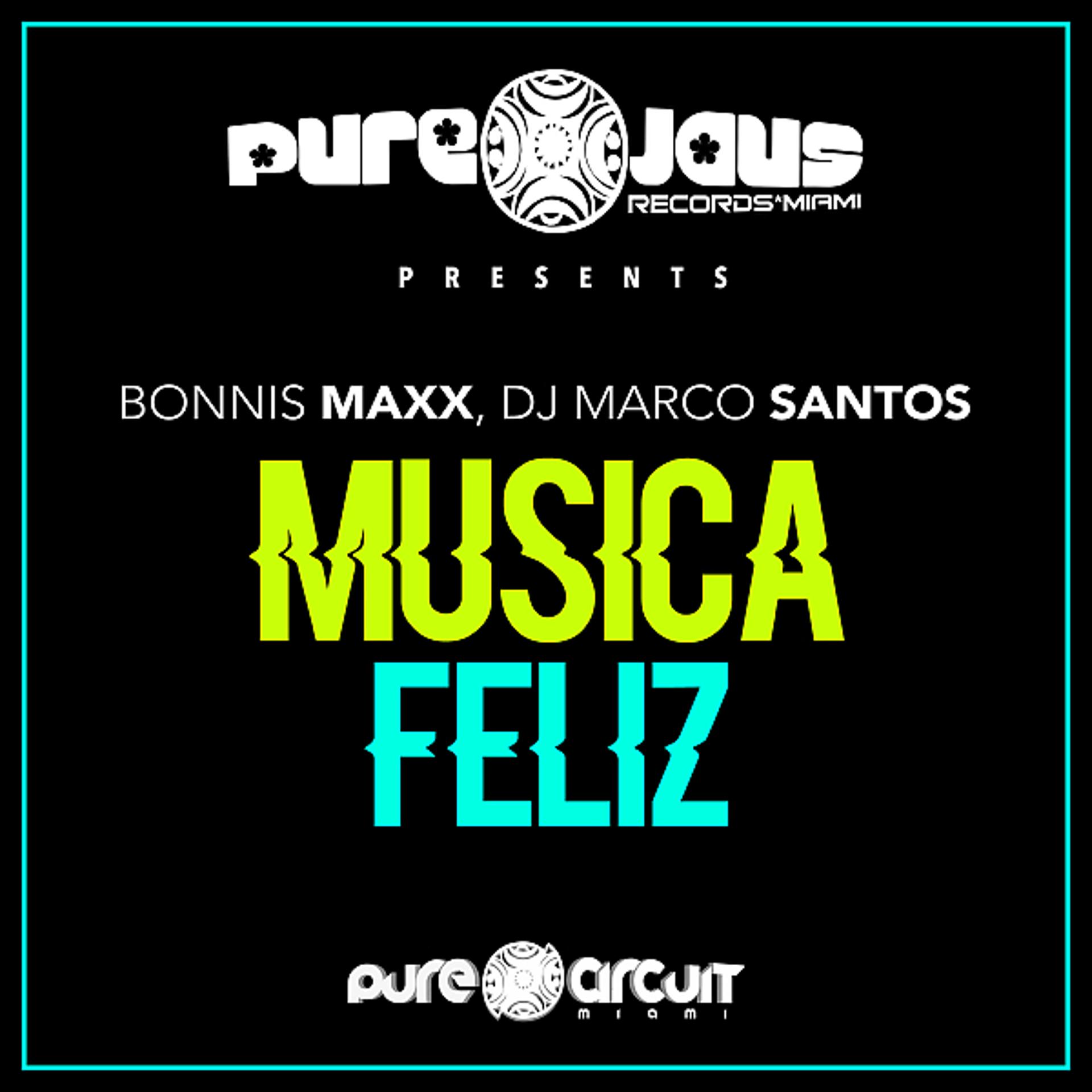 Постер альбома Musica Feliz