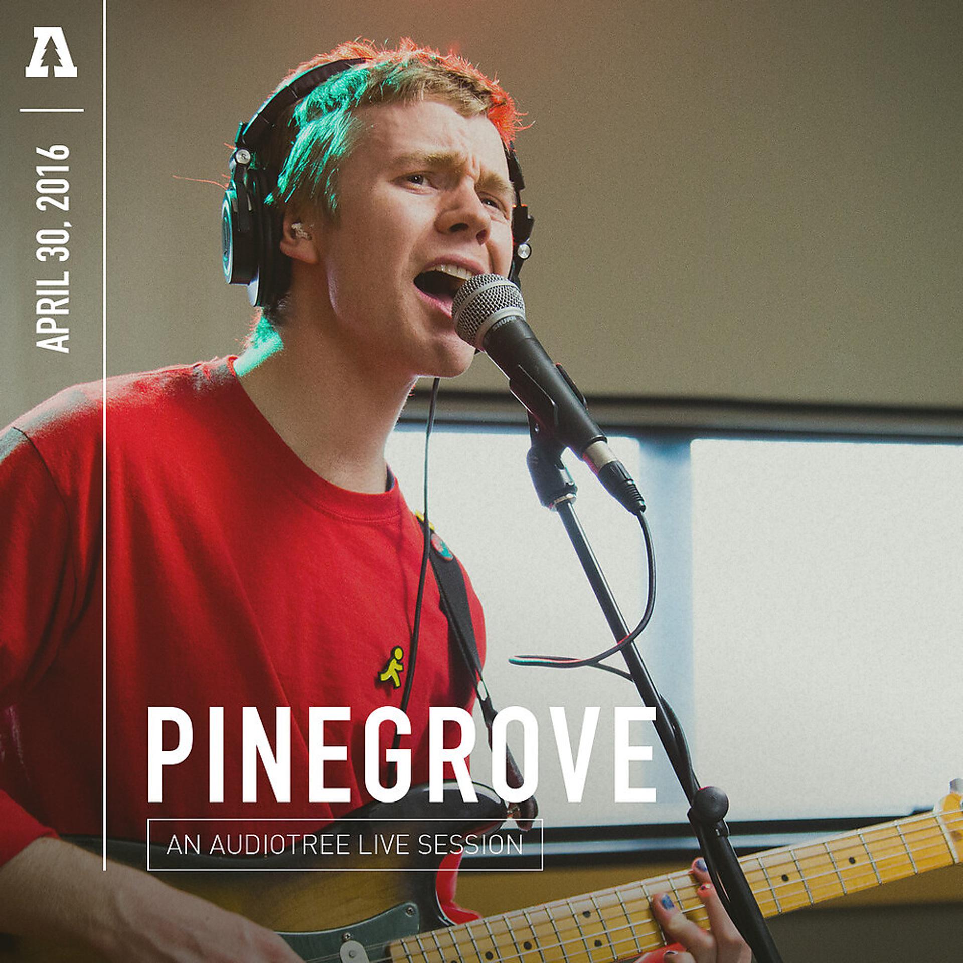 Постер альбома Pinegrove on Audiotree Live