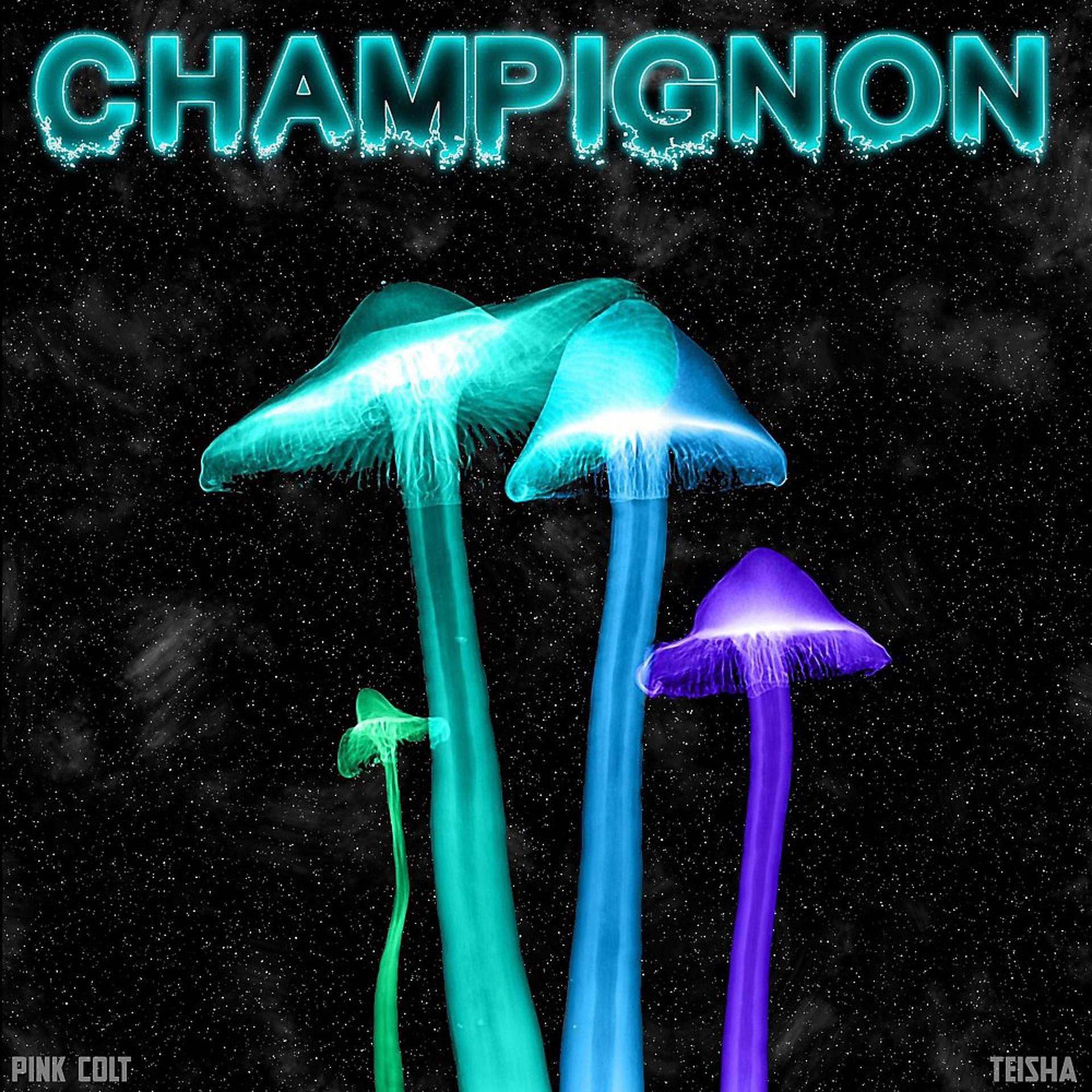 Постер альбома Champignon