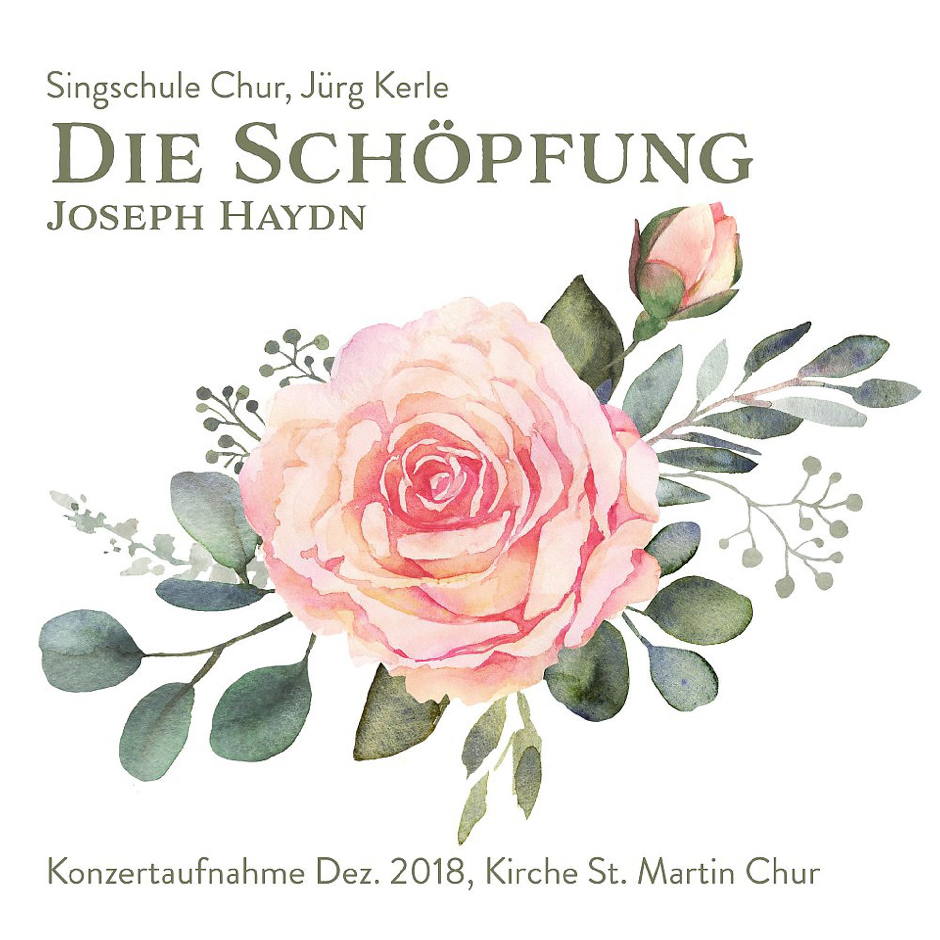 Постер альбома Die Schöpfung (Konzertaufnahme Singschule Chur)