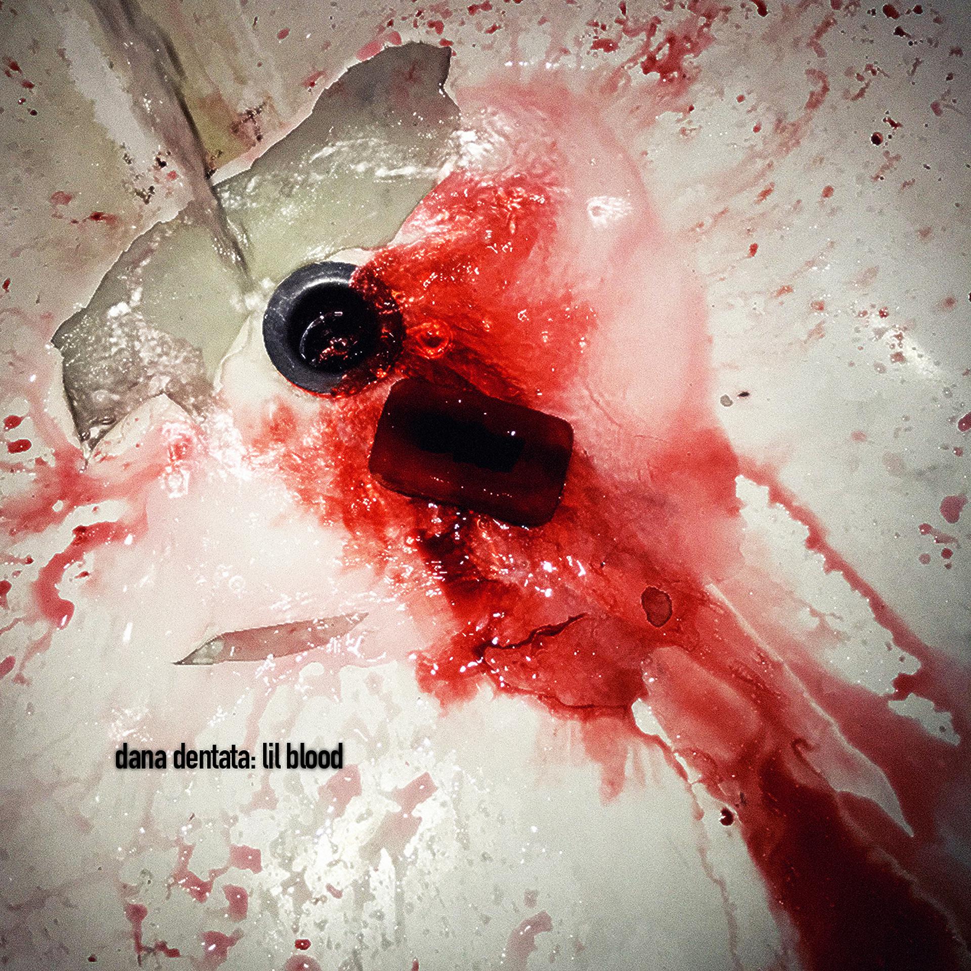 Постер альбома lil blood