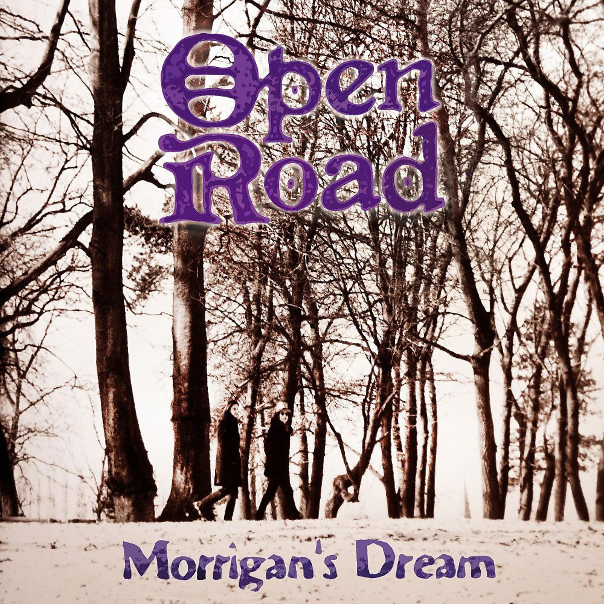 Постер альбома Morrigan's Dream