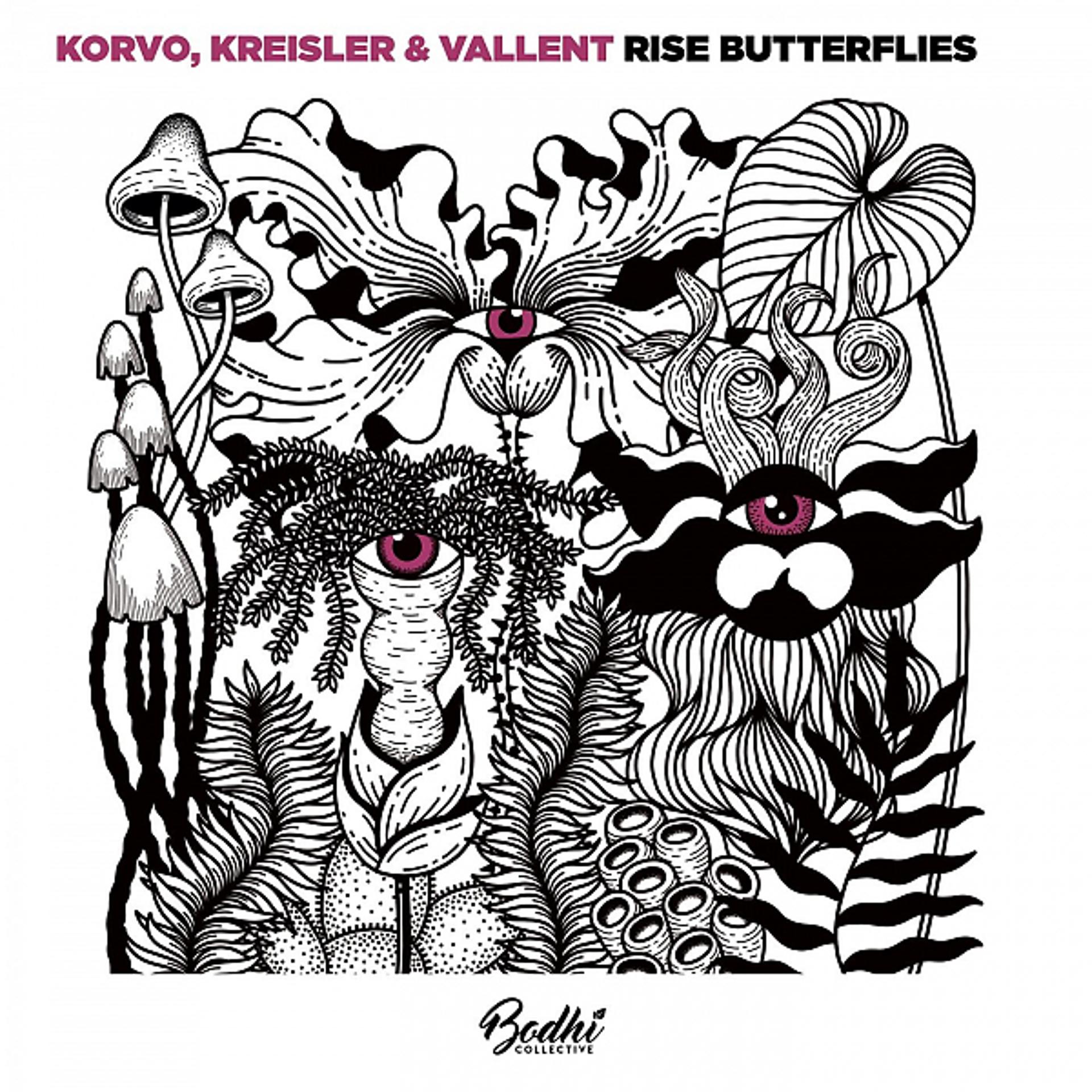 Постер альбома Rise Butterflies
