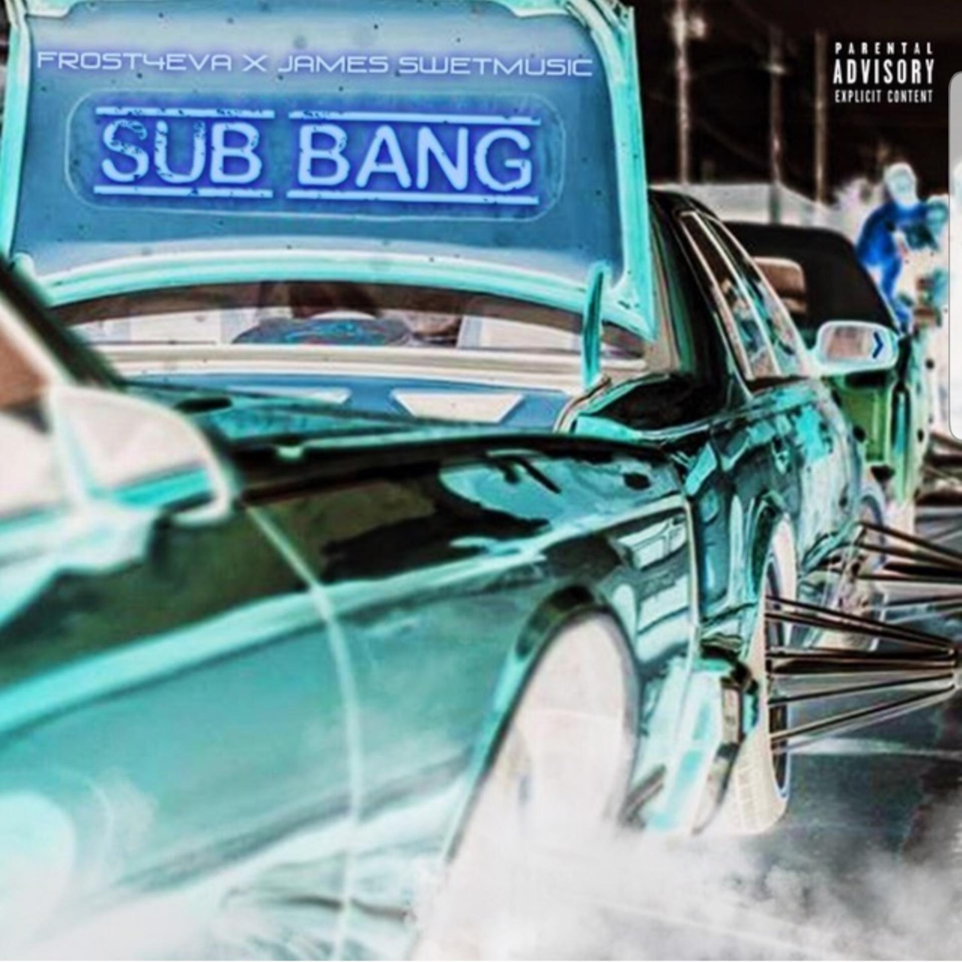 Постер альбома Sub Bang