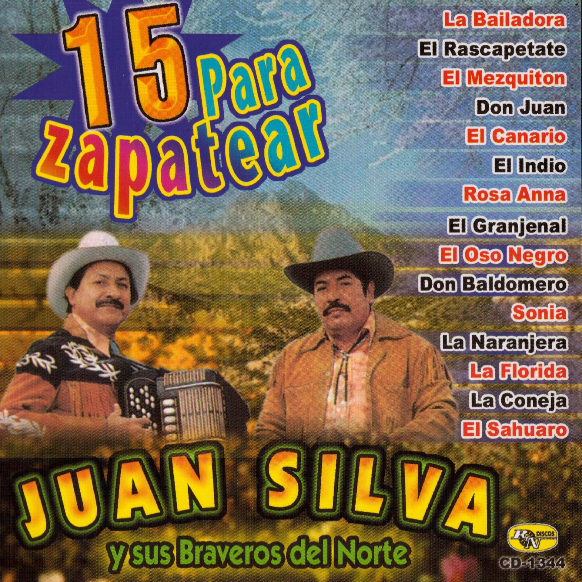 Постер альбома 15 para Zapatear
