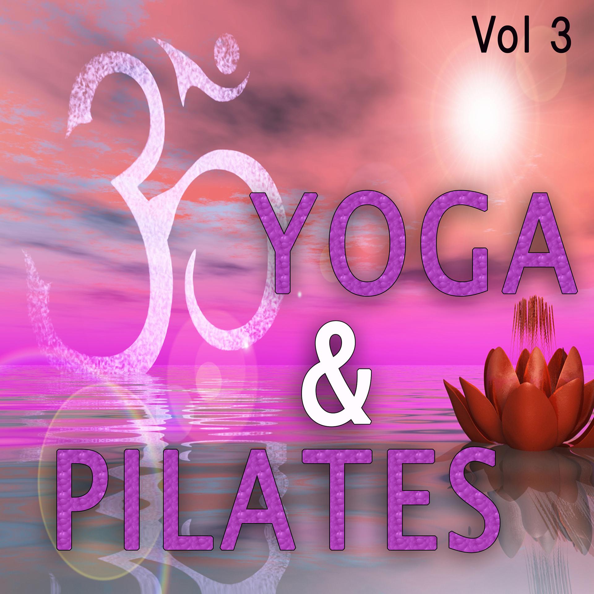 Постер альбома Yoga & Pilates 2015 Playlist