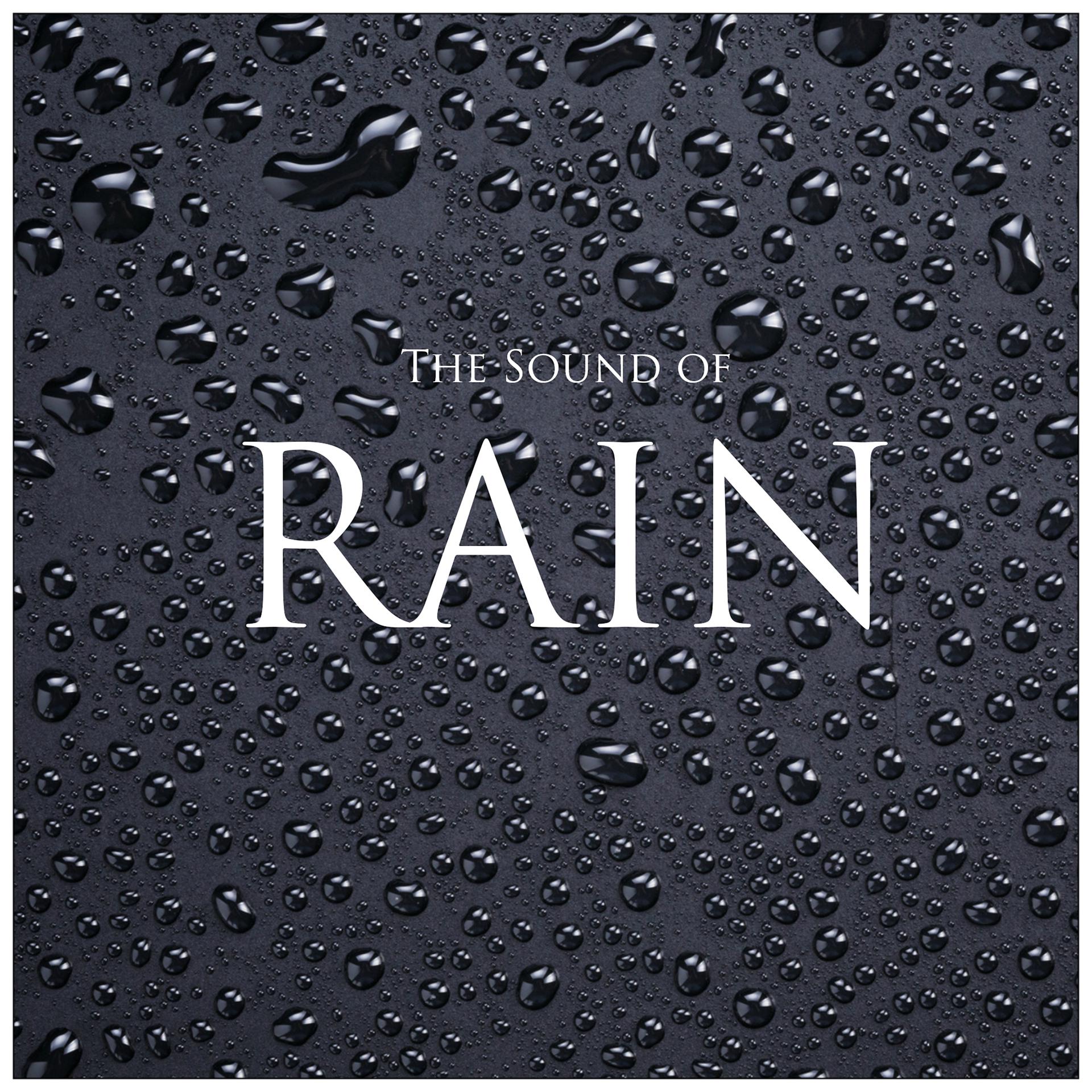 Постер альбома Rain - The Sound of Rain