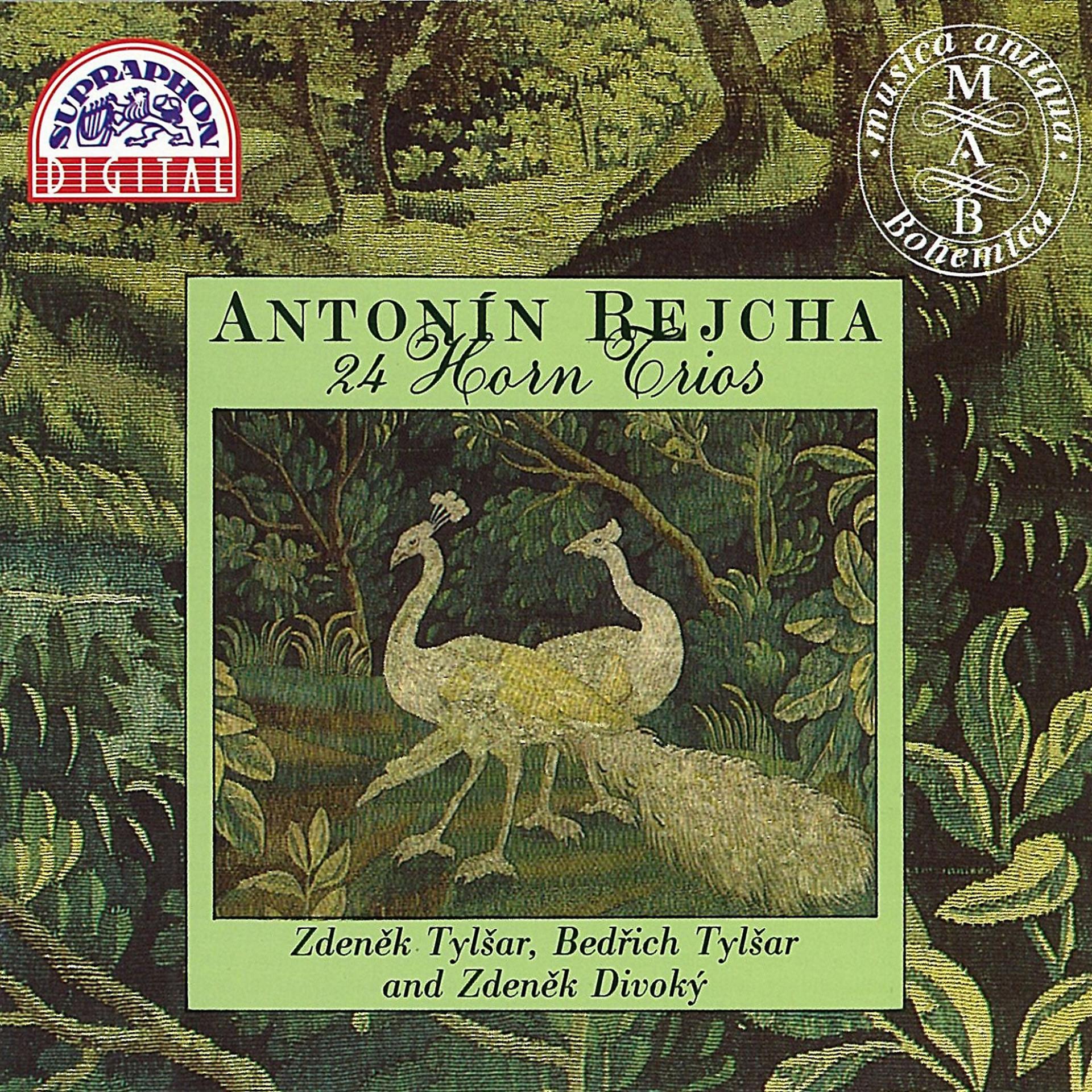 Постер альбома Rejcha: 24 Horn Trios, Op. 82