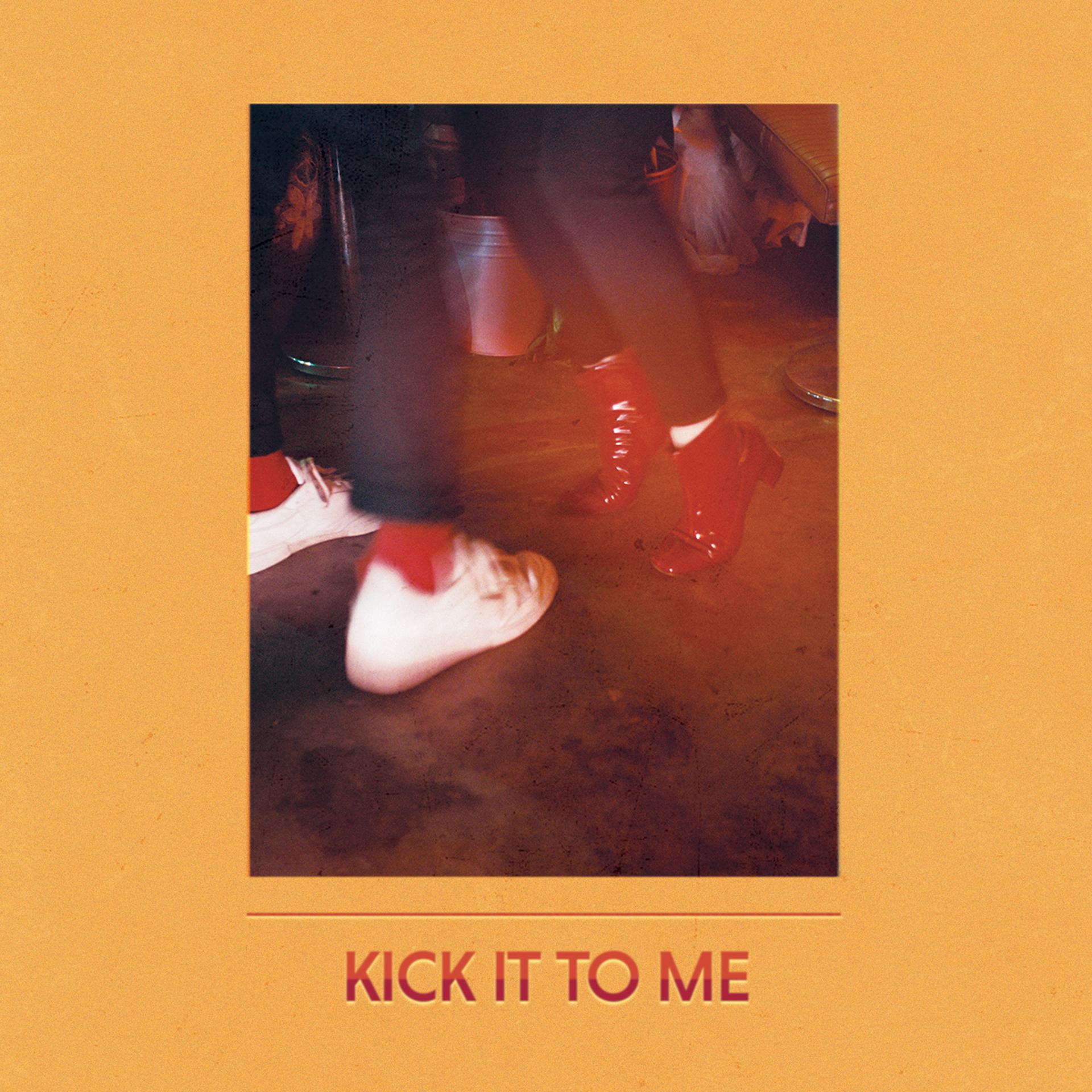 Постер альбома Kick It to Me (Single Version)